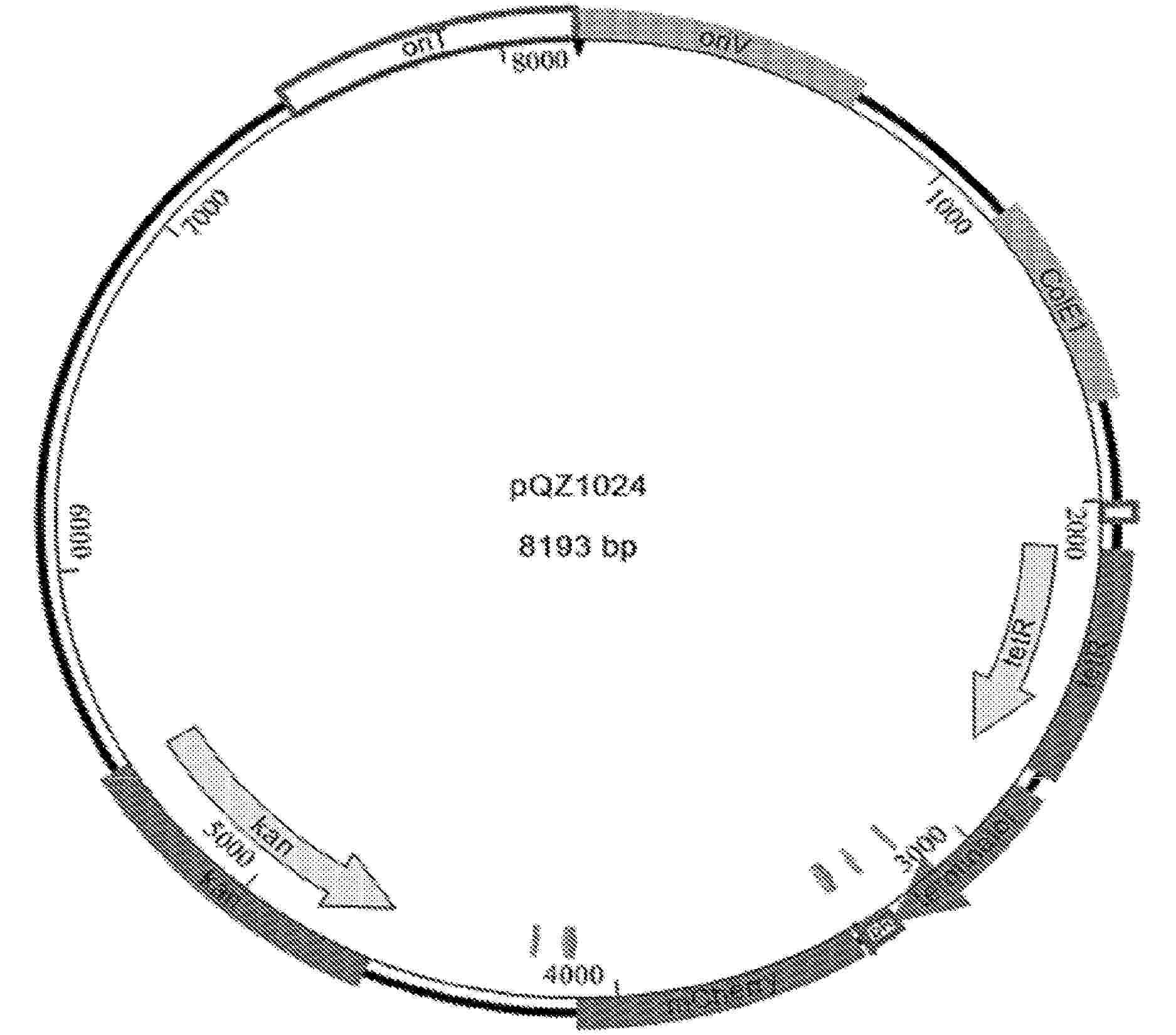 US_2025257363_PA