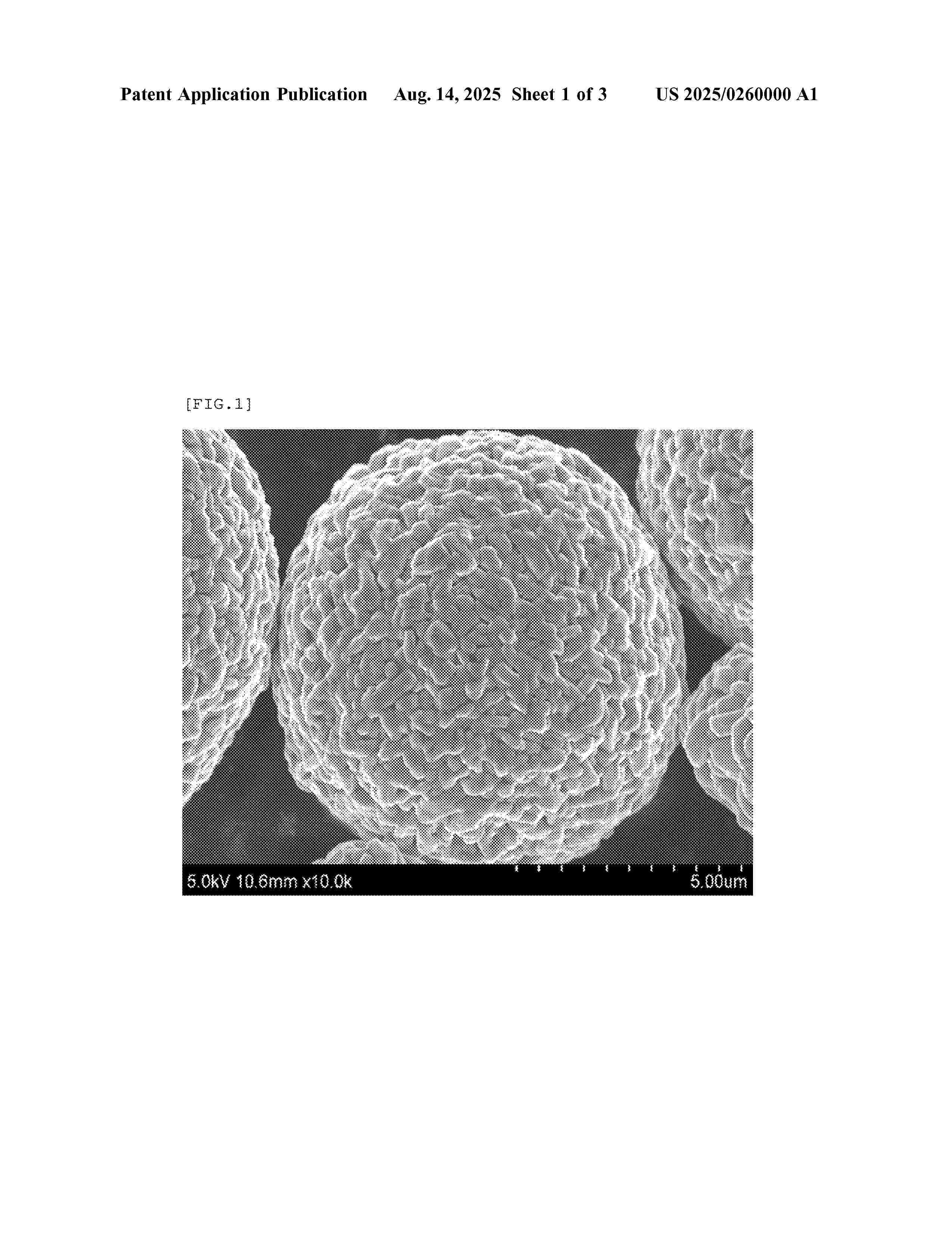 US_2025260000_A1