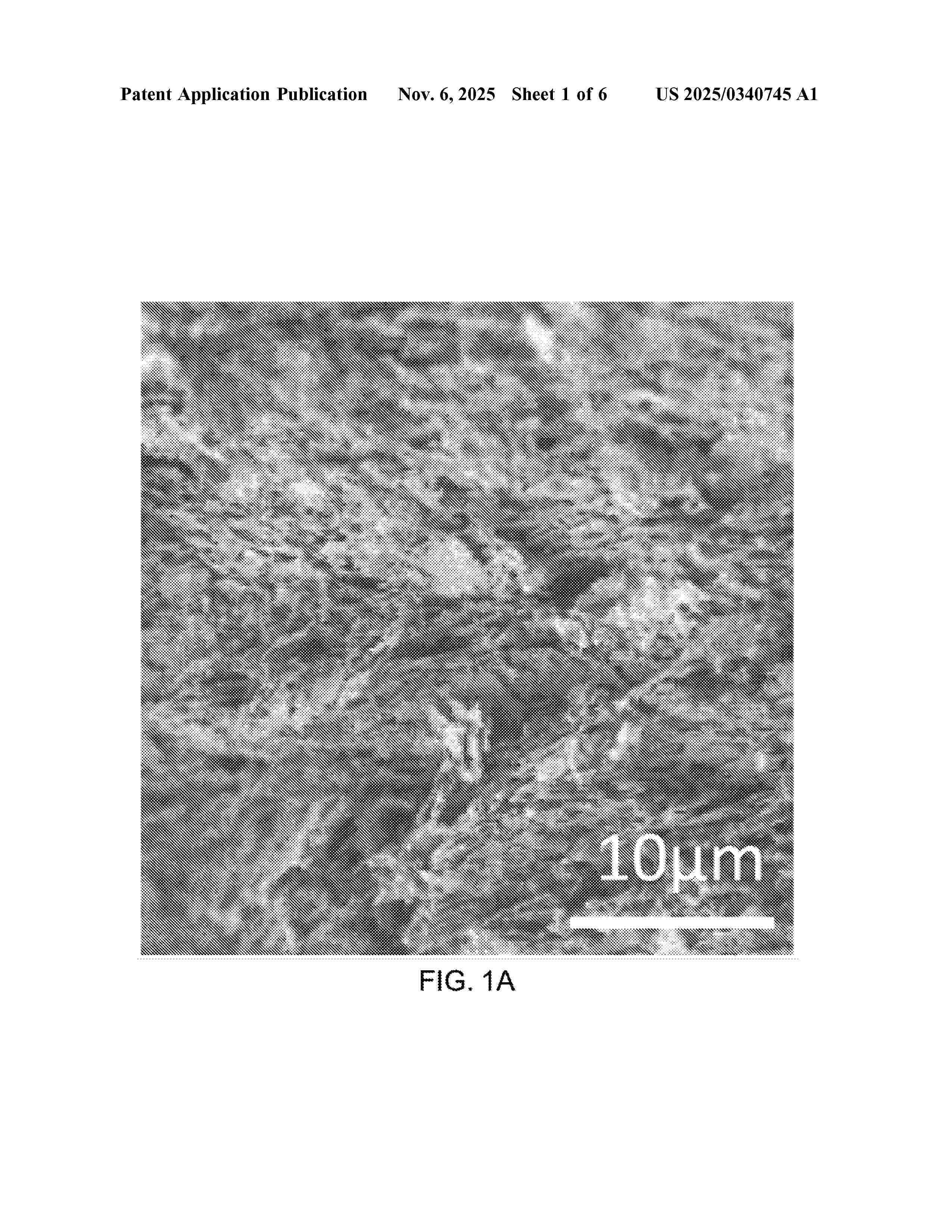 US_2025340745_A1