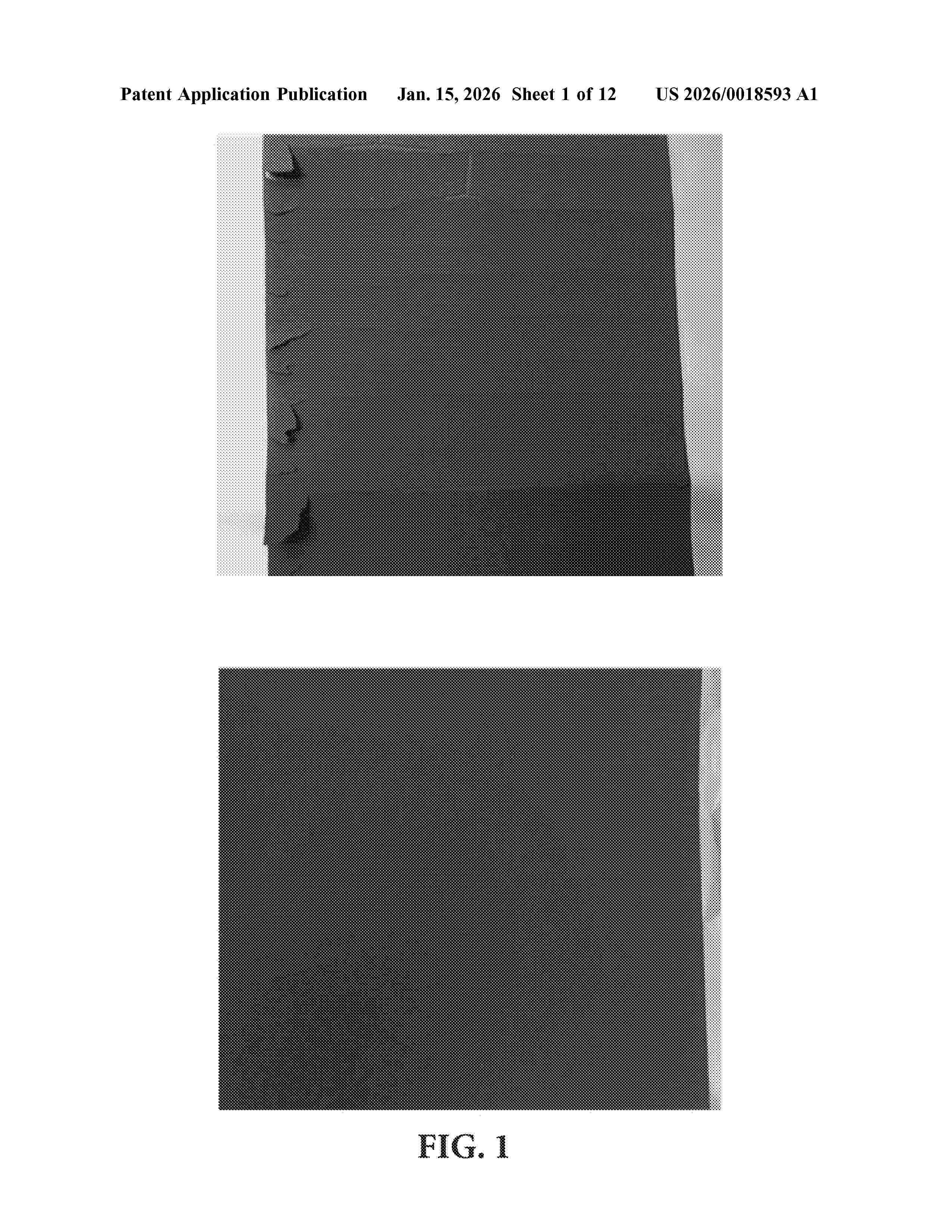 US_20260018593_A1
