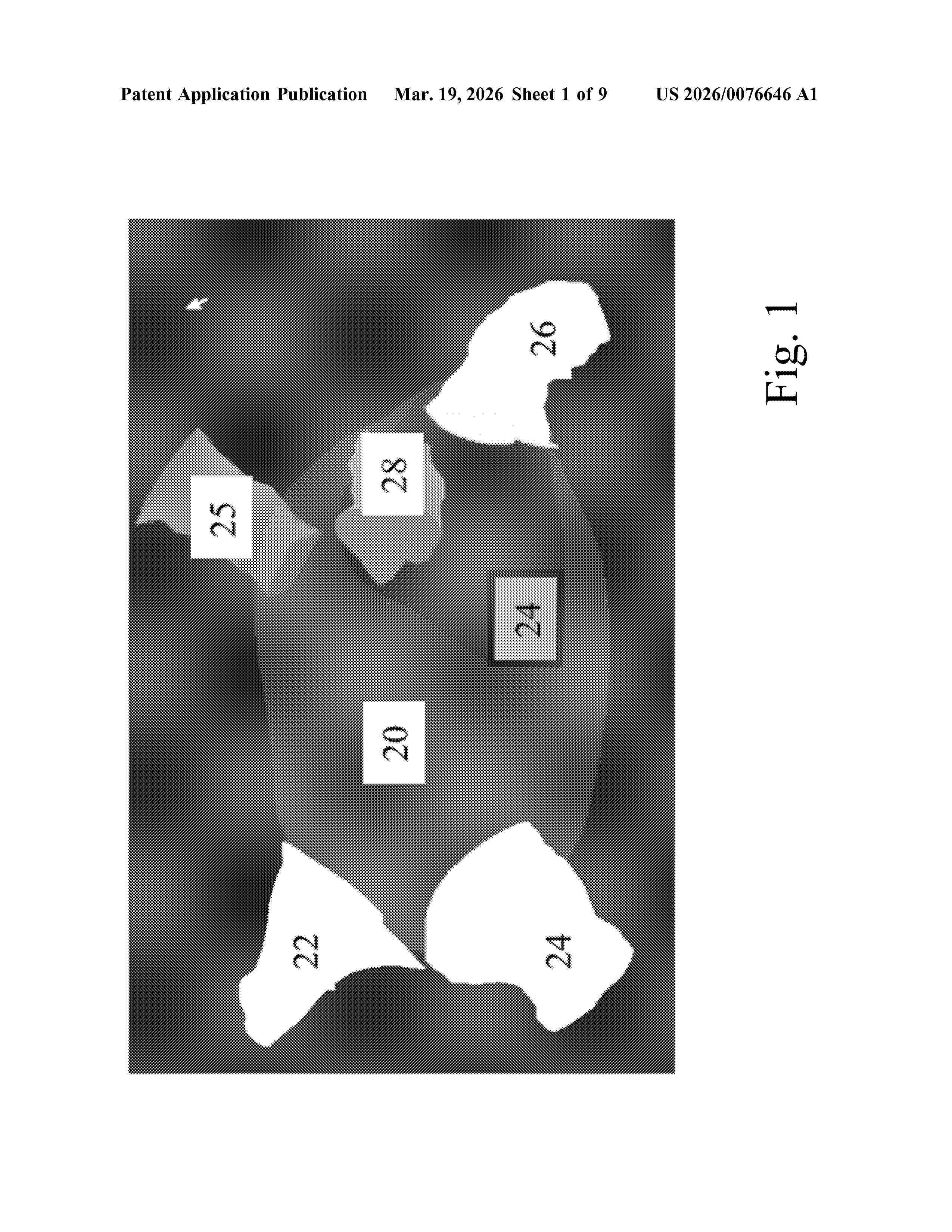 US_20260076646_A1