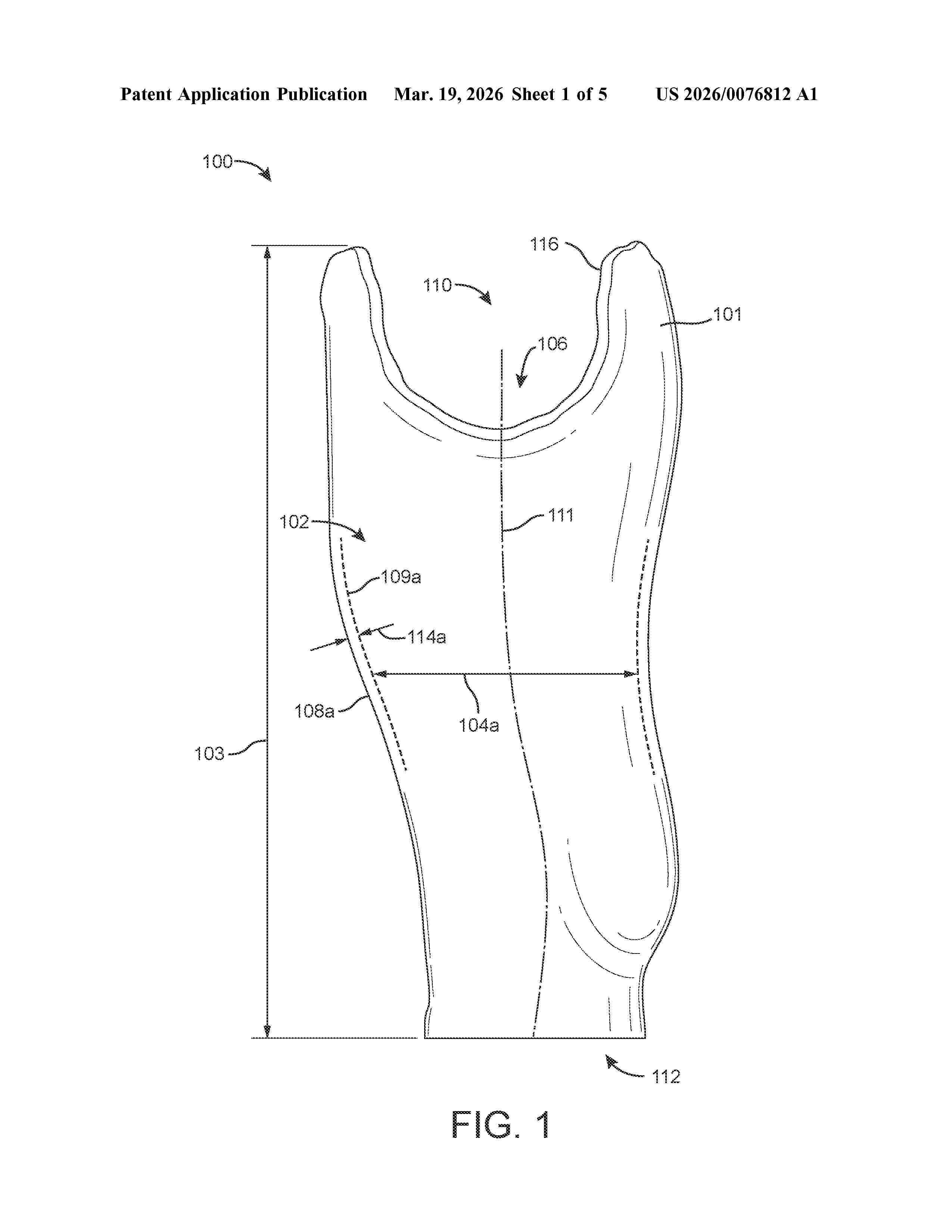 US_20260076812_A1