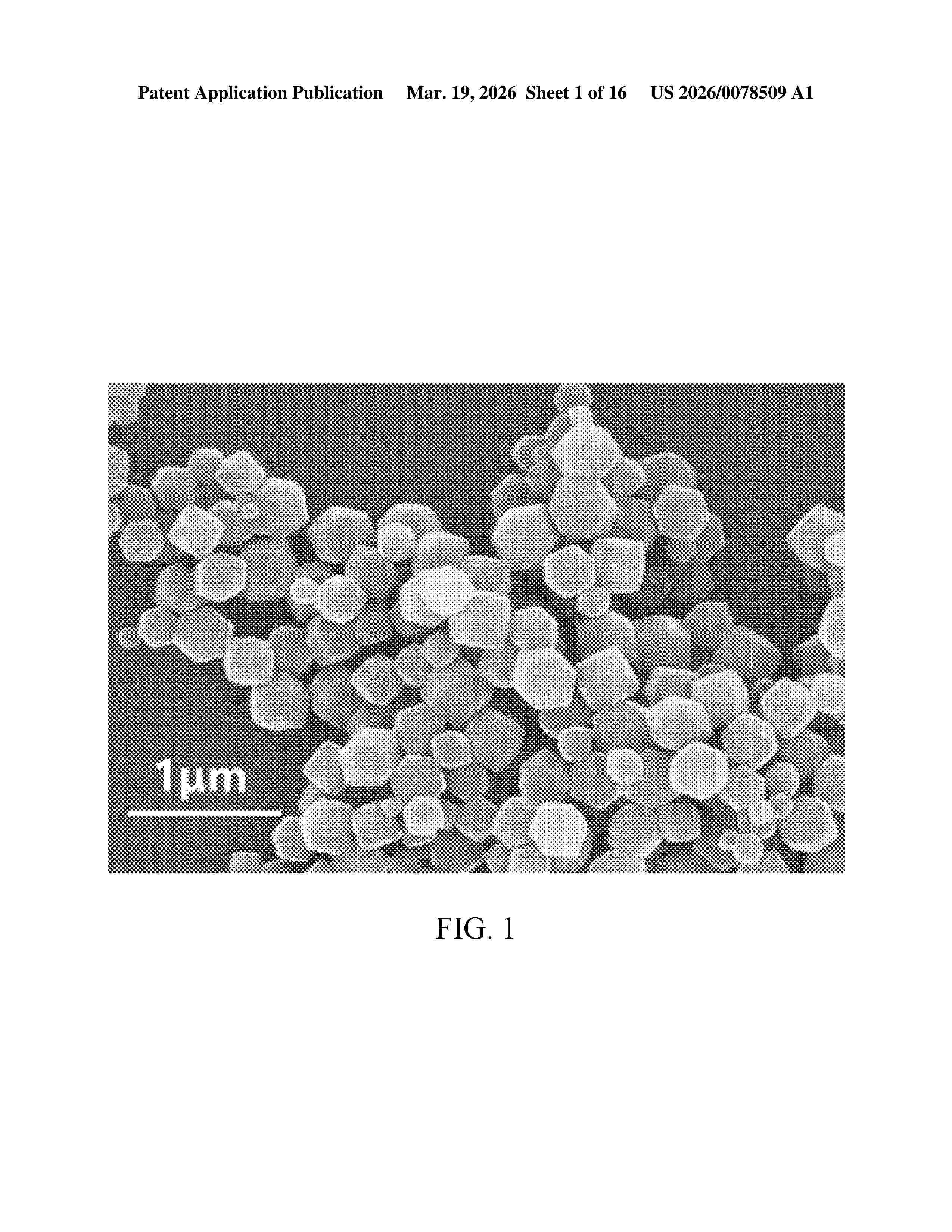 US_20260078509_A1
