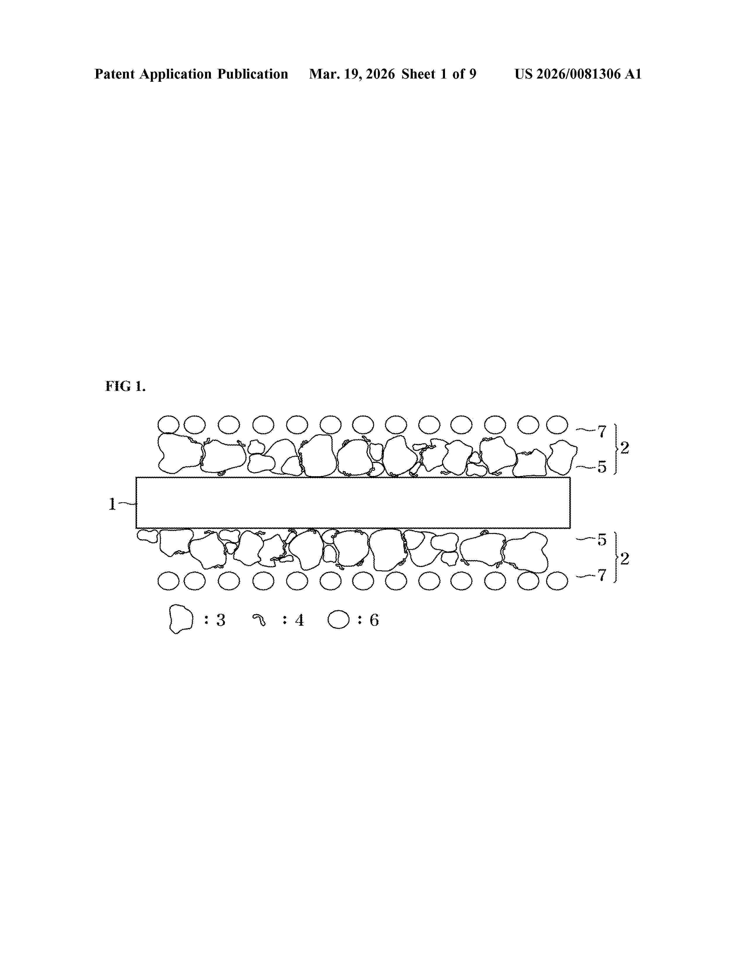 US_20260081306_A1