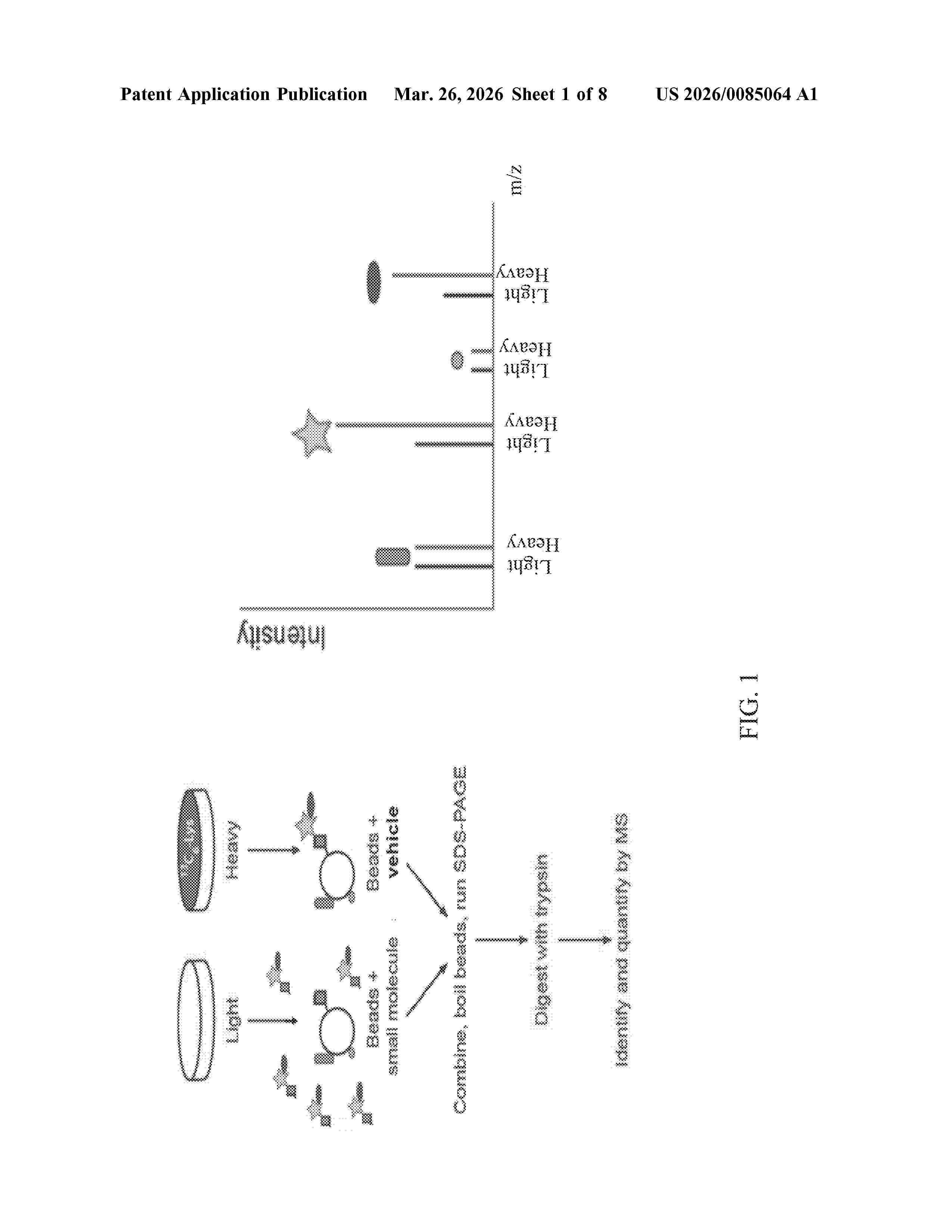 US_20260085064_A1