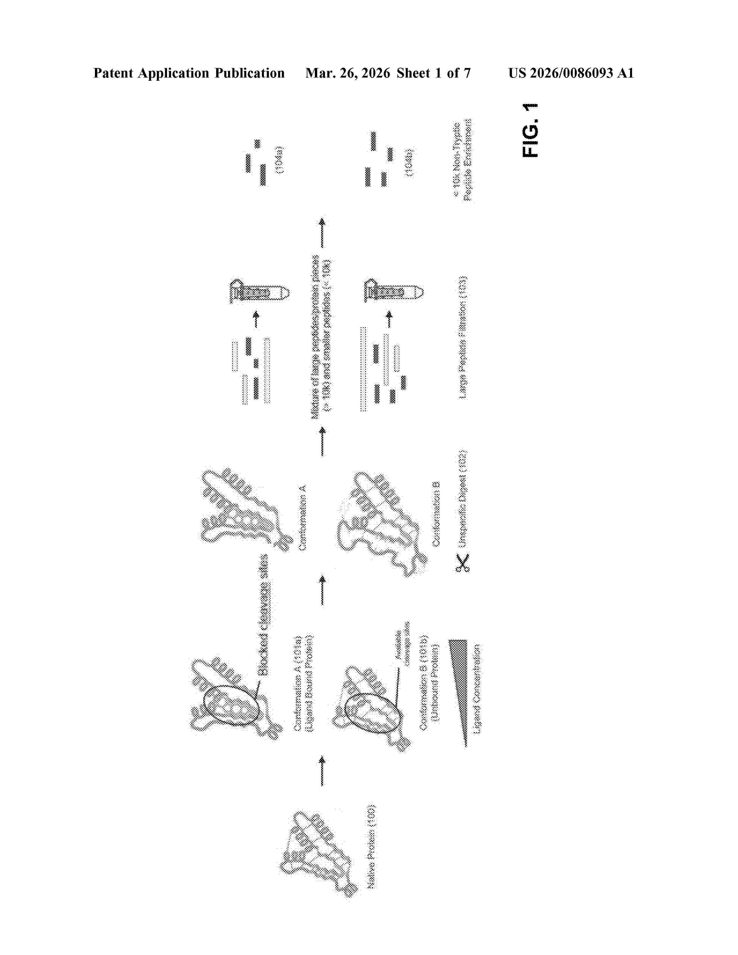 US_20260086093_A1