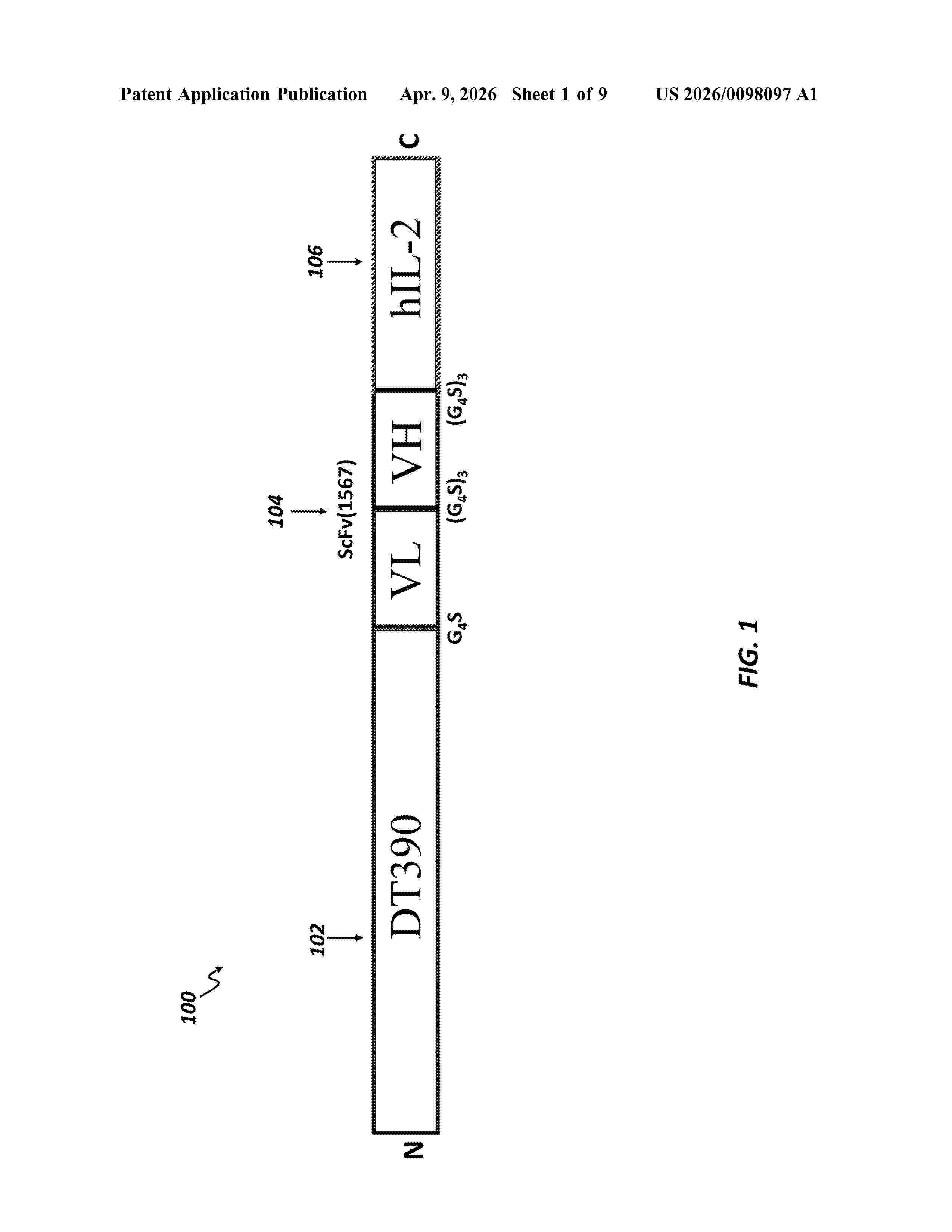 US_20260098097_A1