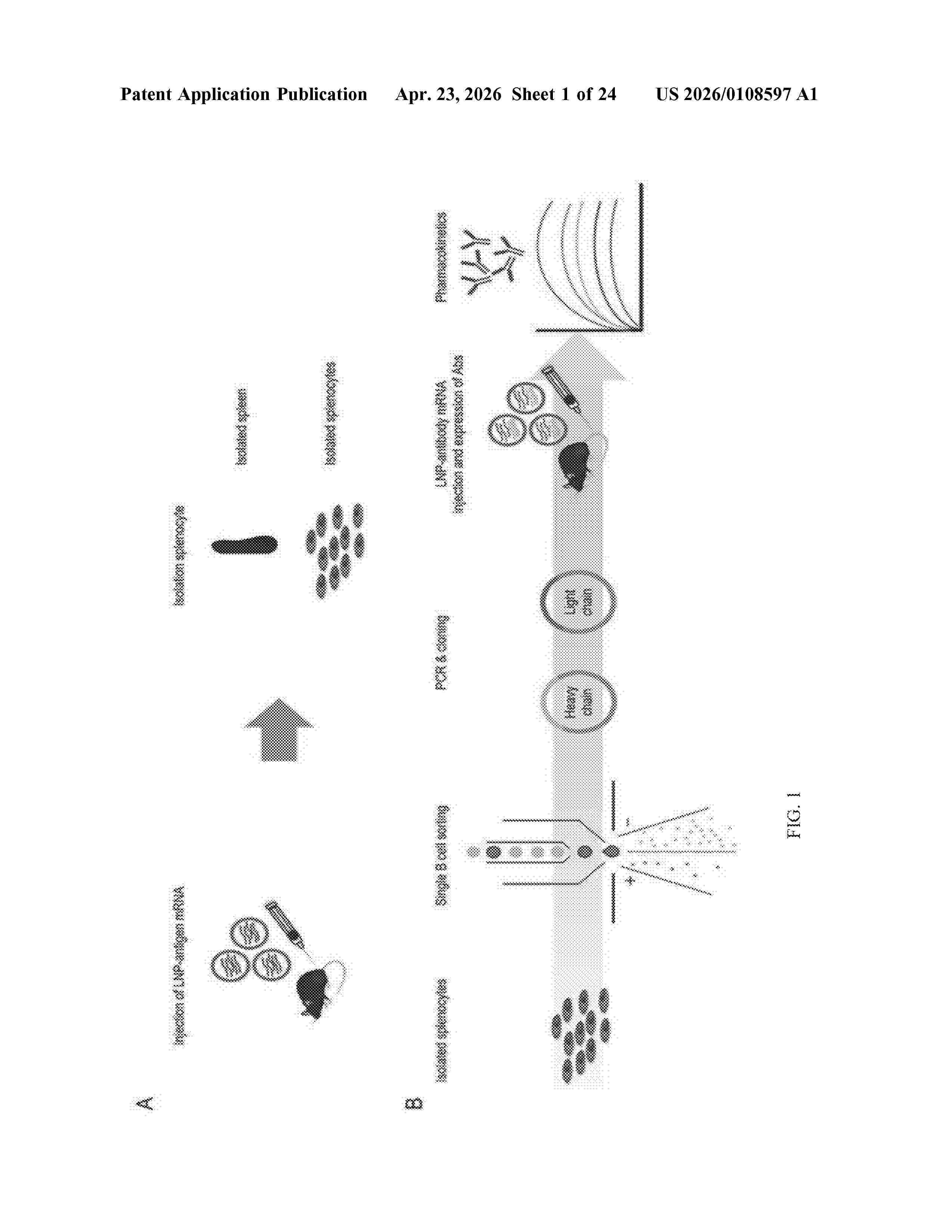 US_20260108597_A1