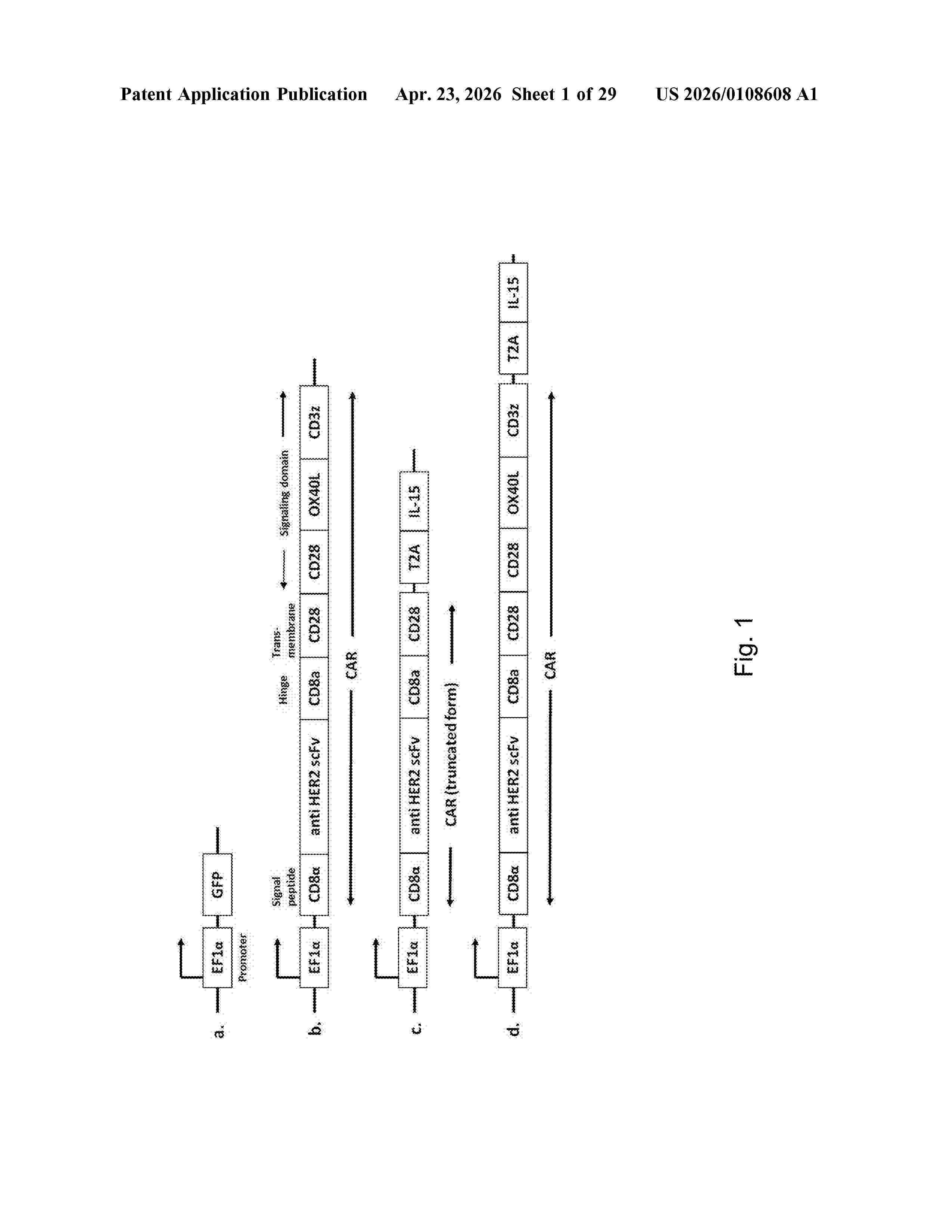 US_20260108608_A1