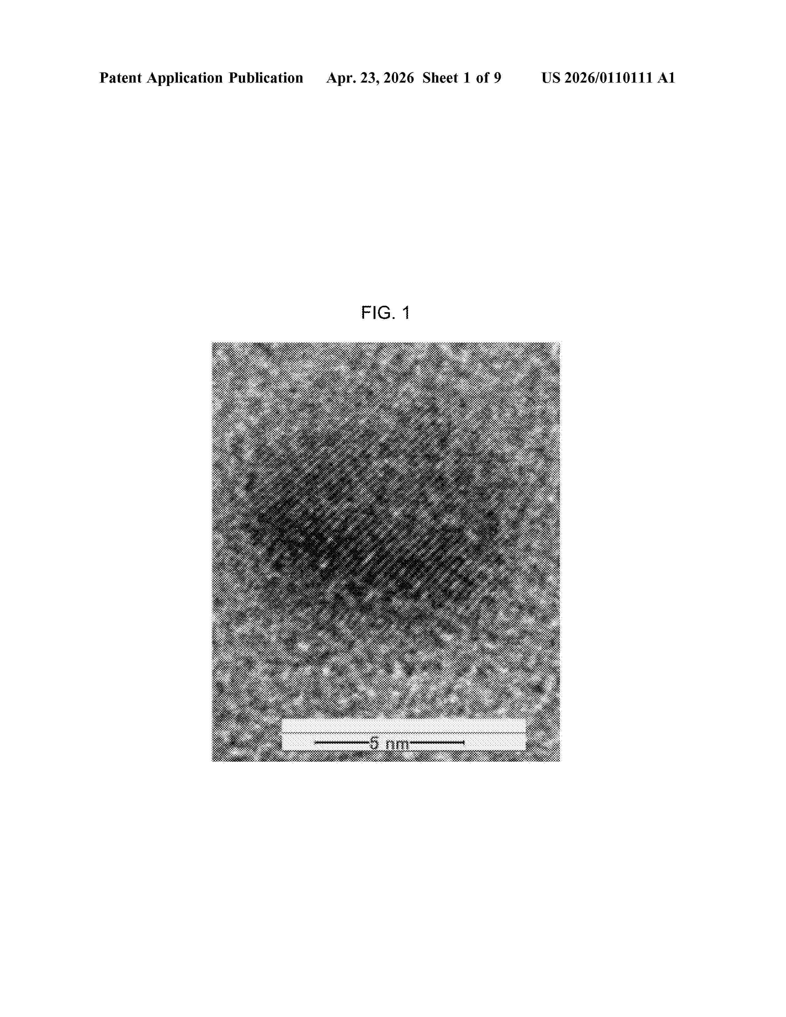 US_20260110111_A1