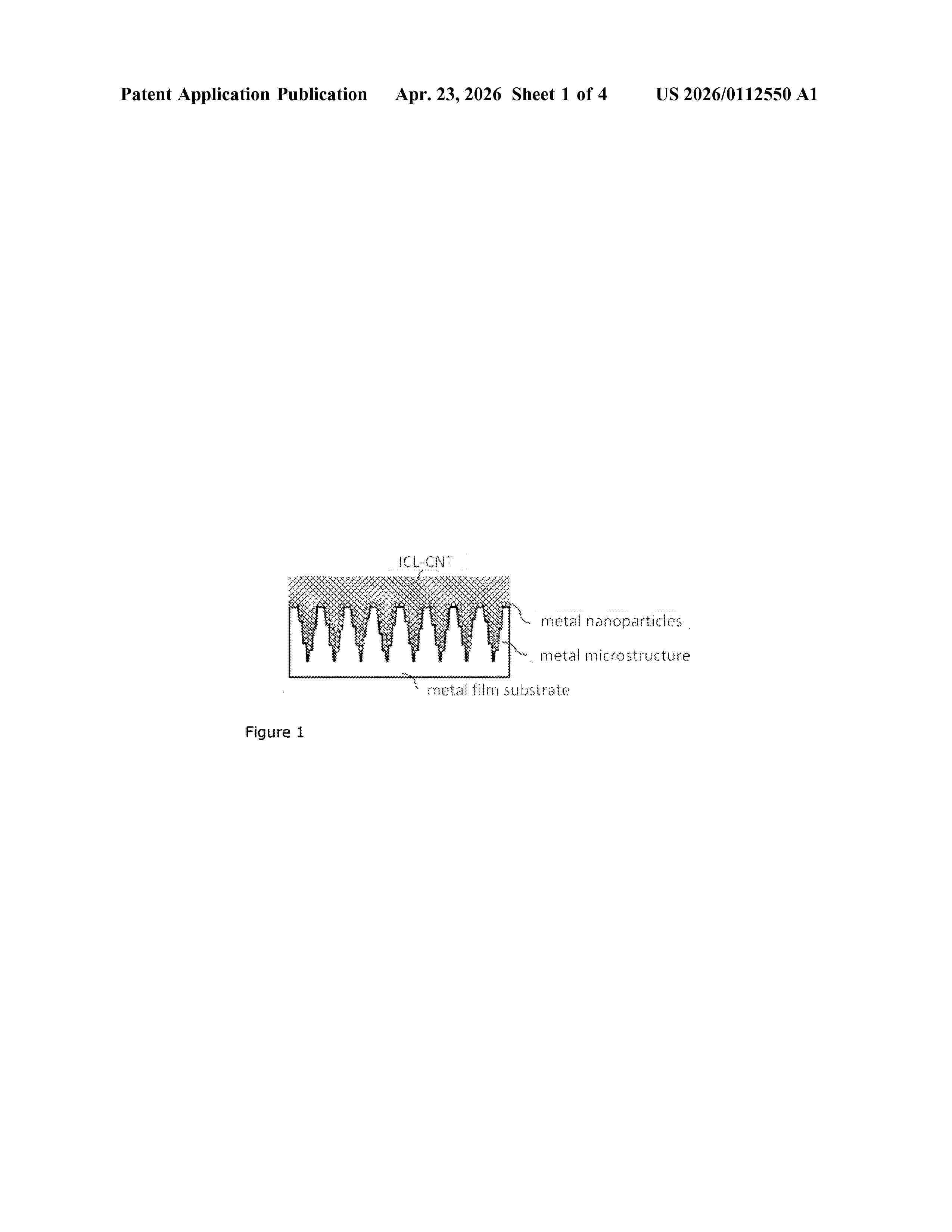 US_20260112550_A1