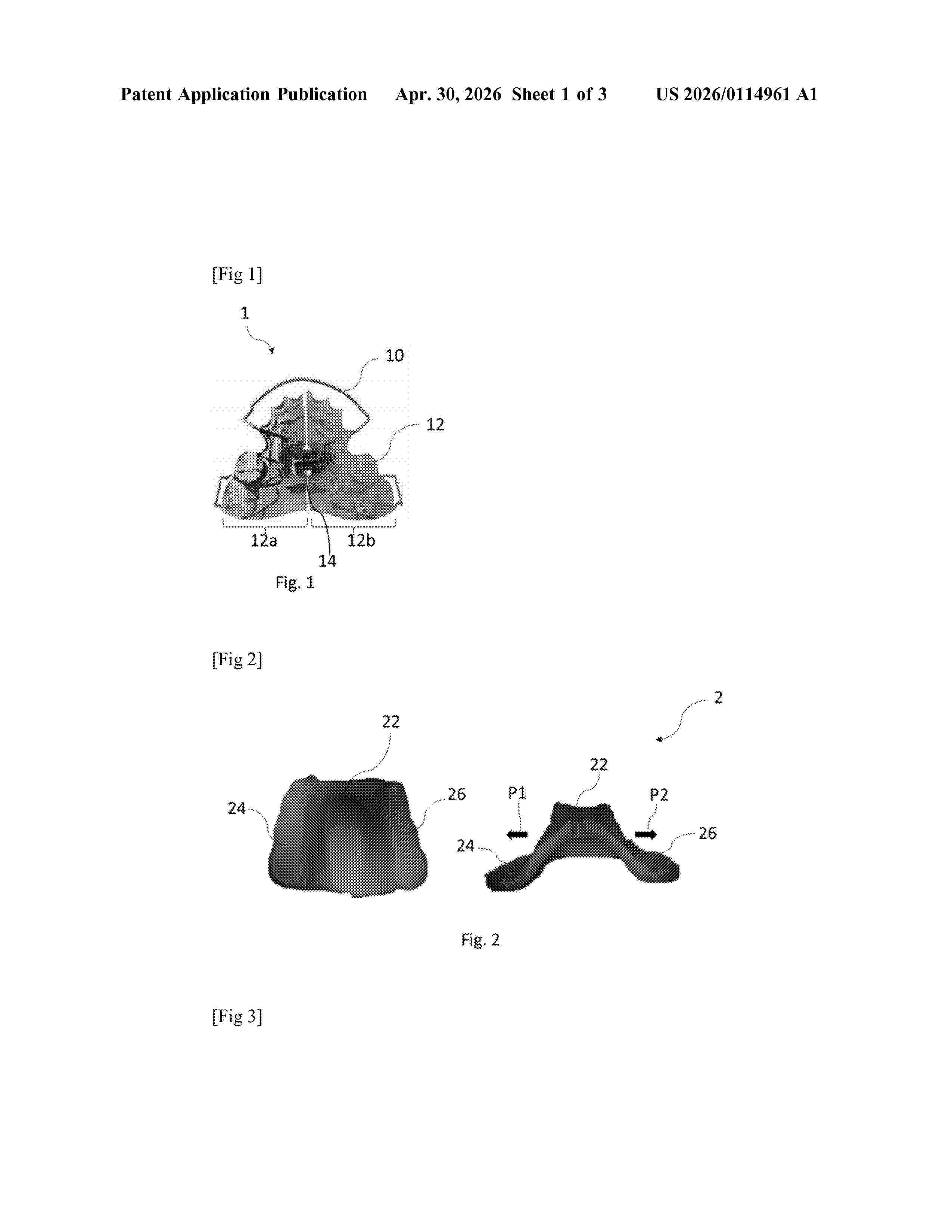 US_20260114961_A1