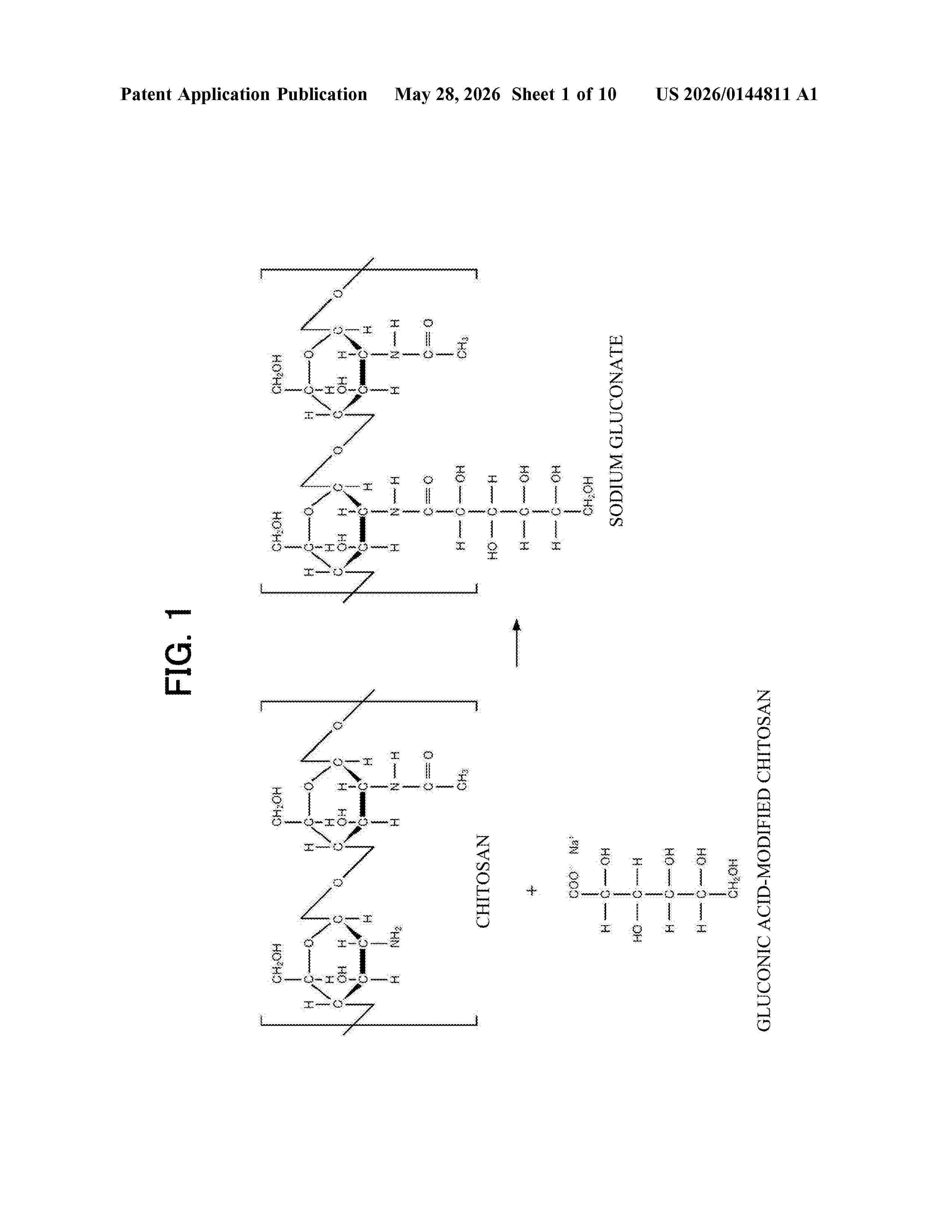 US_20260144811_A1