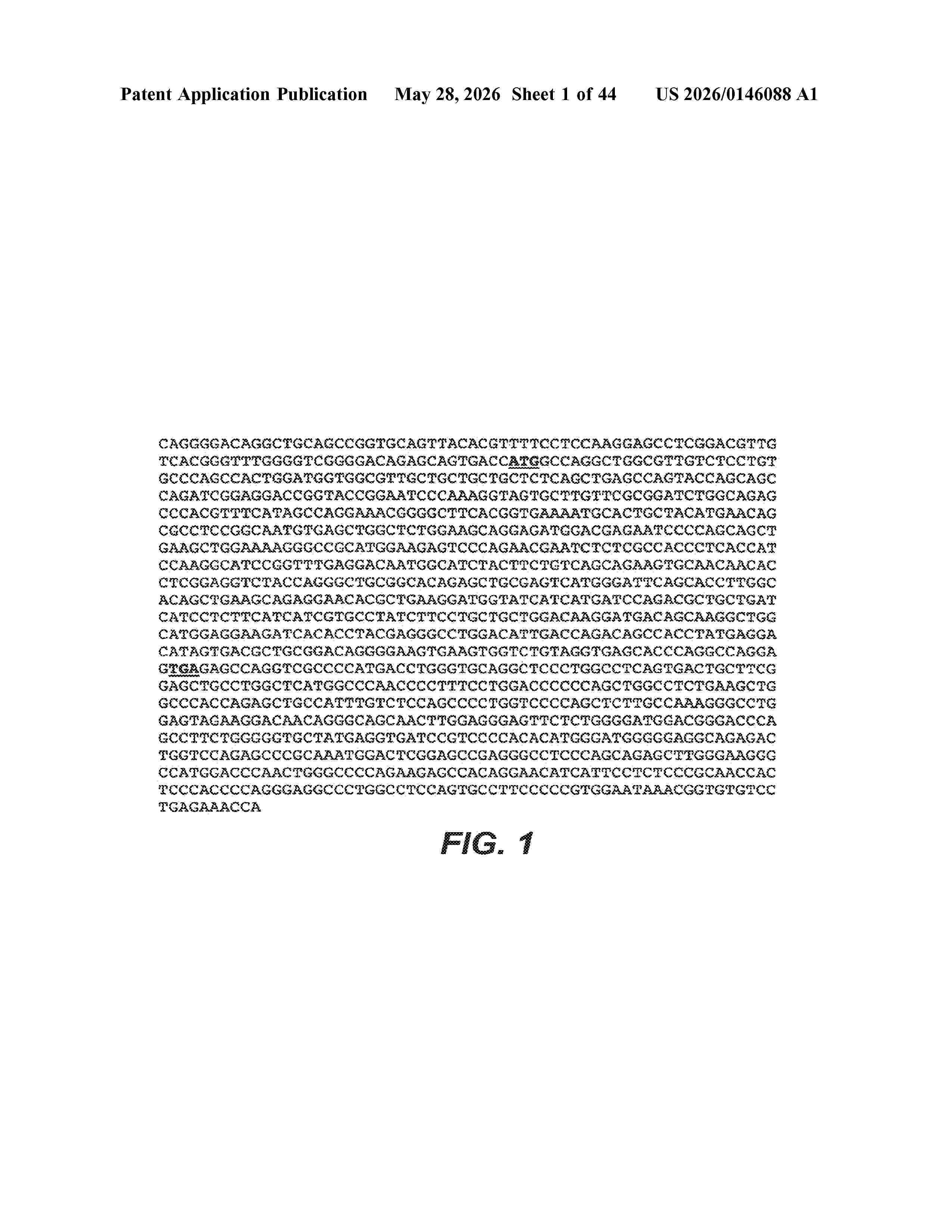 US_20260146088_A1