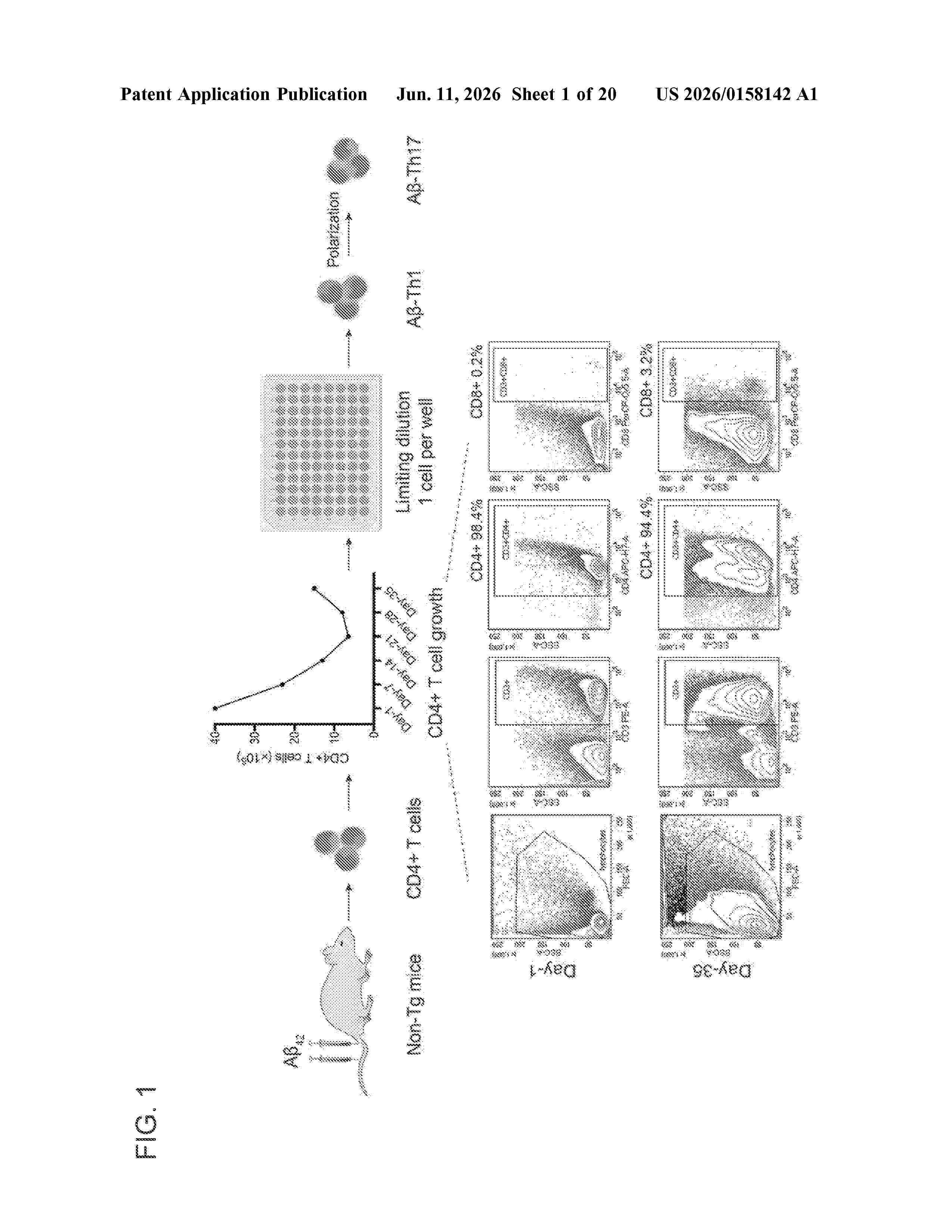 US_20260158142_A1