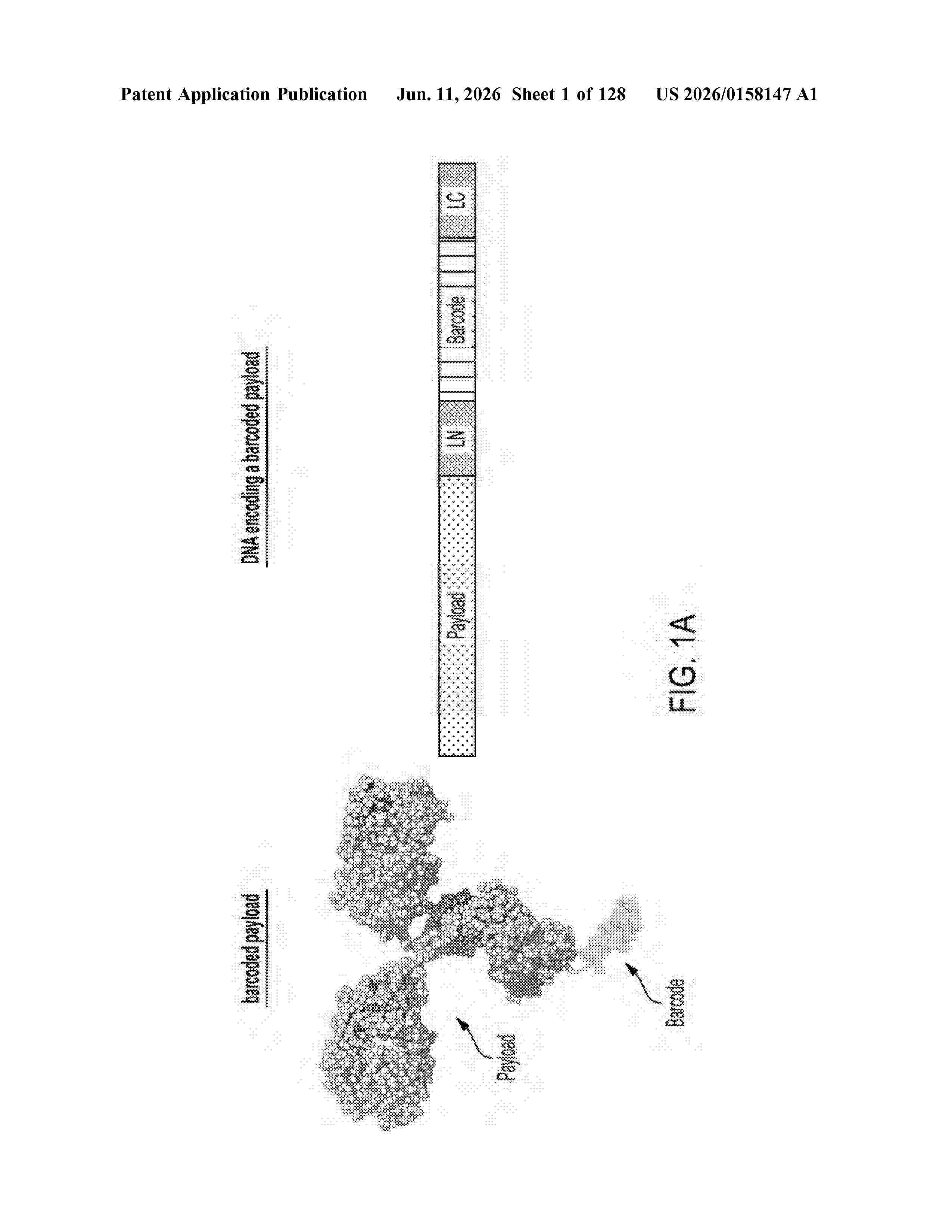 US_20260158147_A1