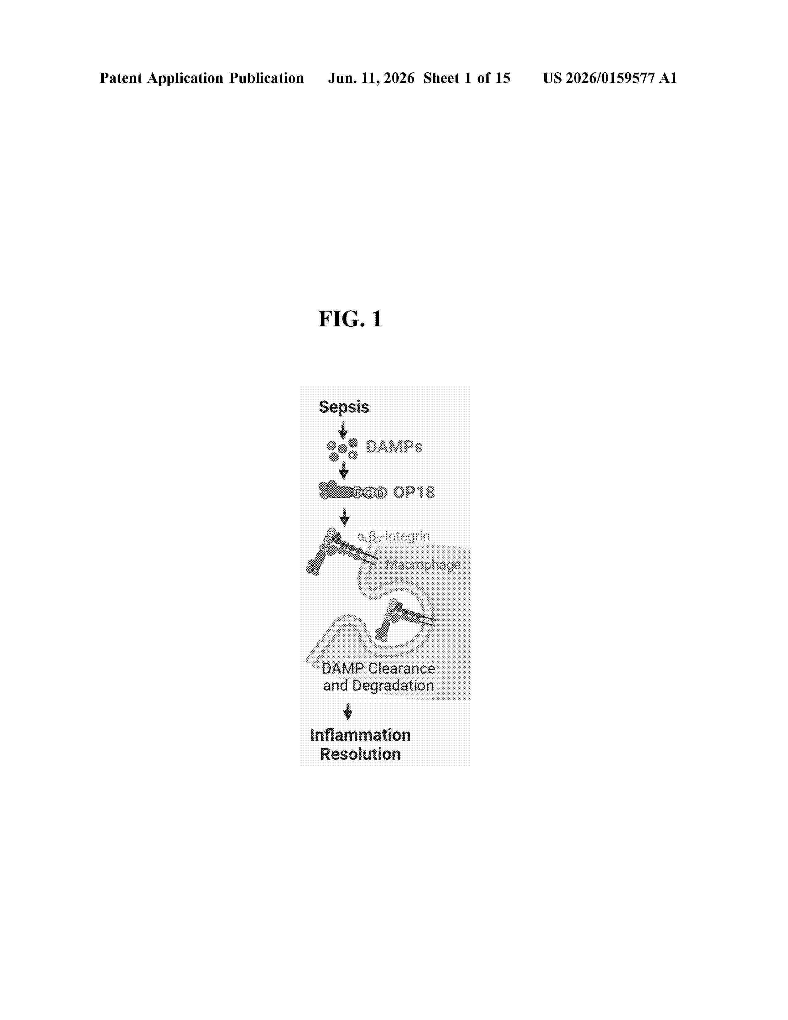 US_20260159577_A1