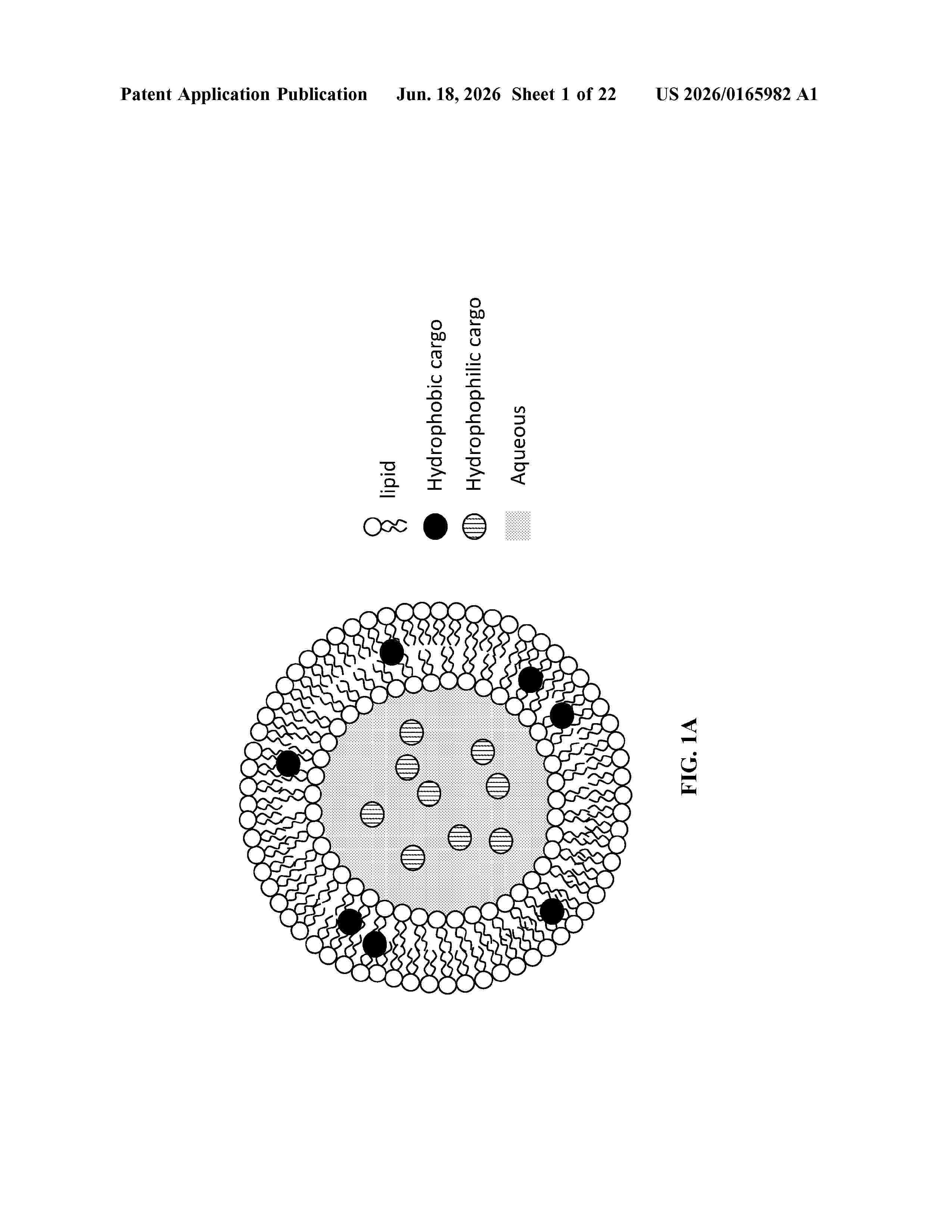 US_20260165982_A1