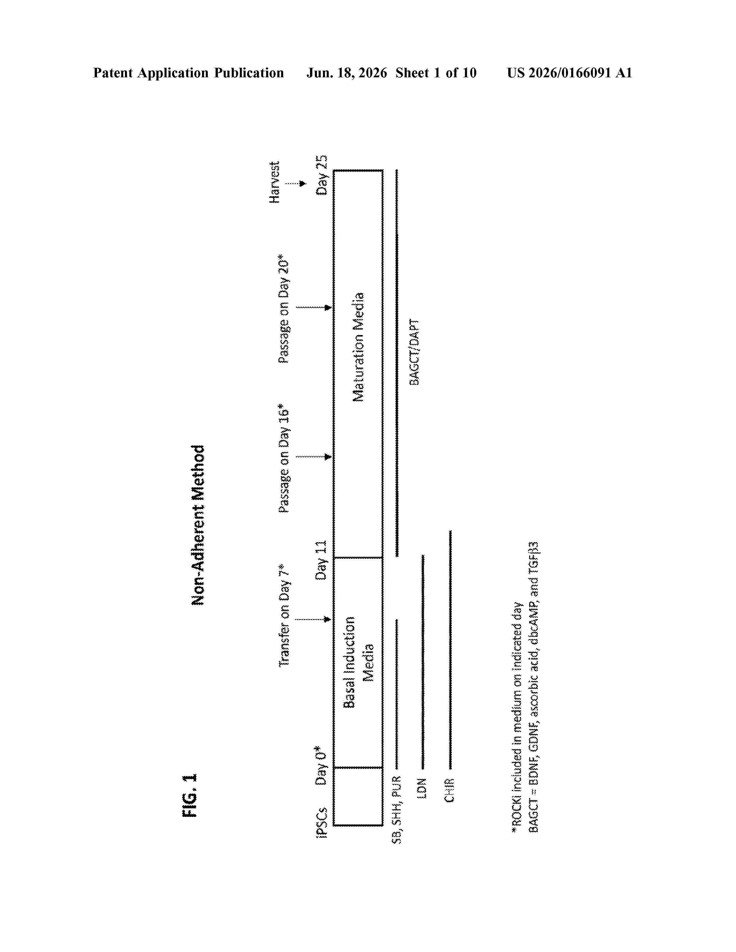 US_20260166091_A1