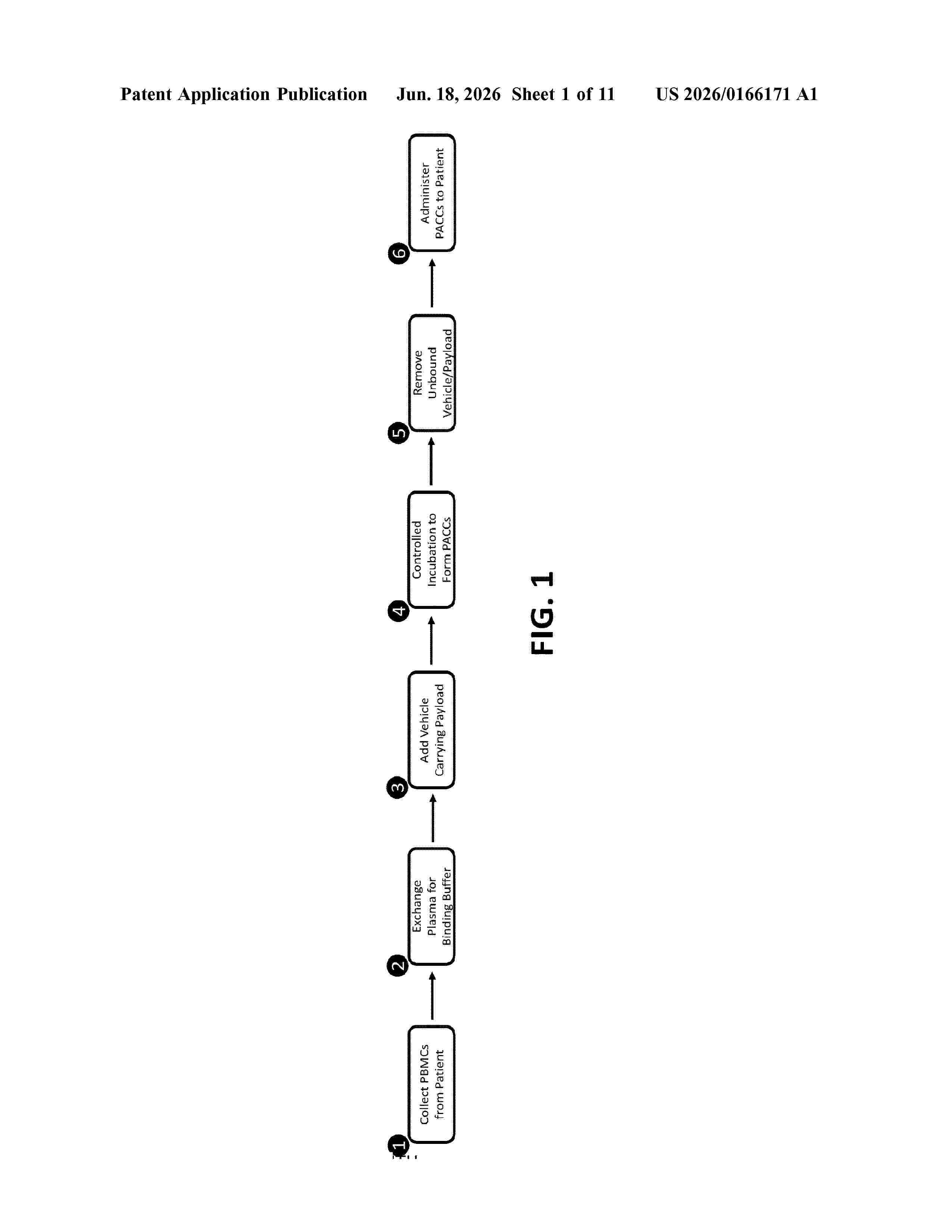 US_20260166171_A1