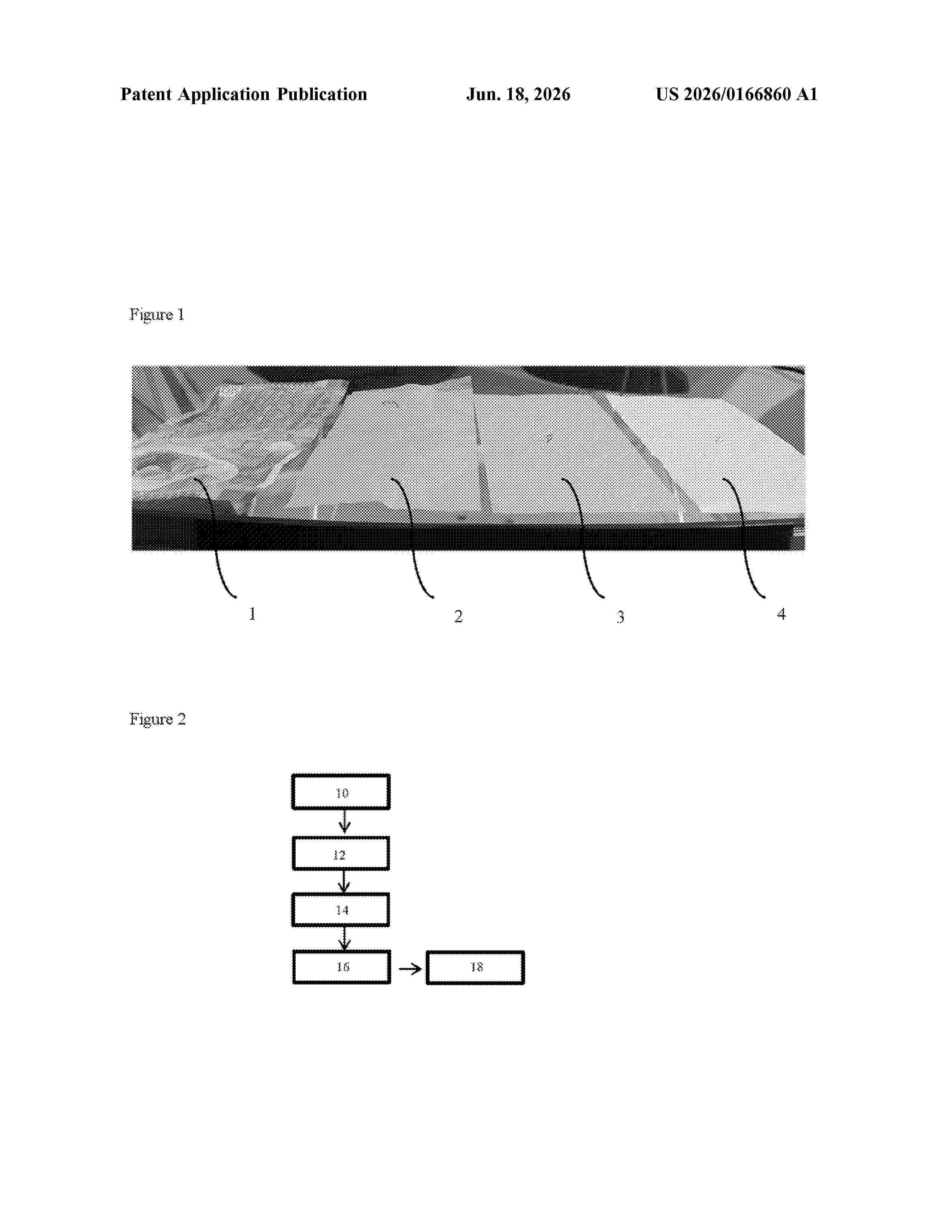 US_20260166860_A1