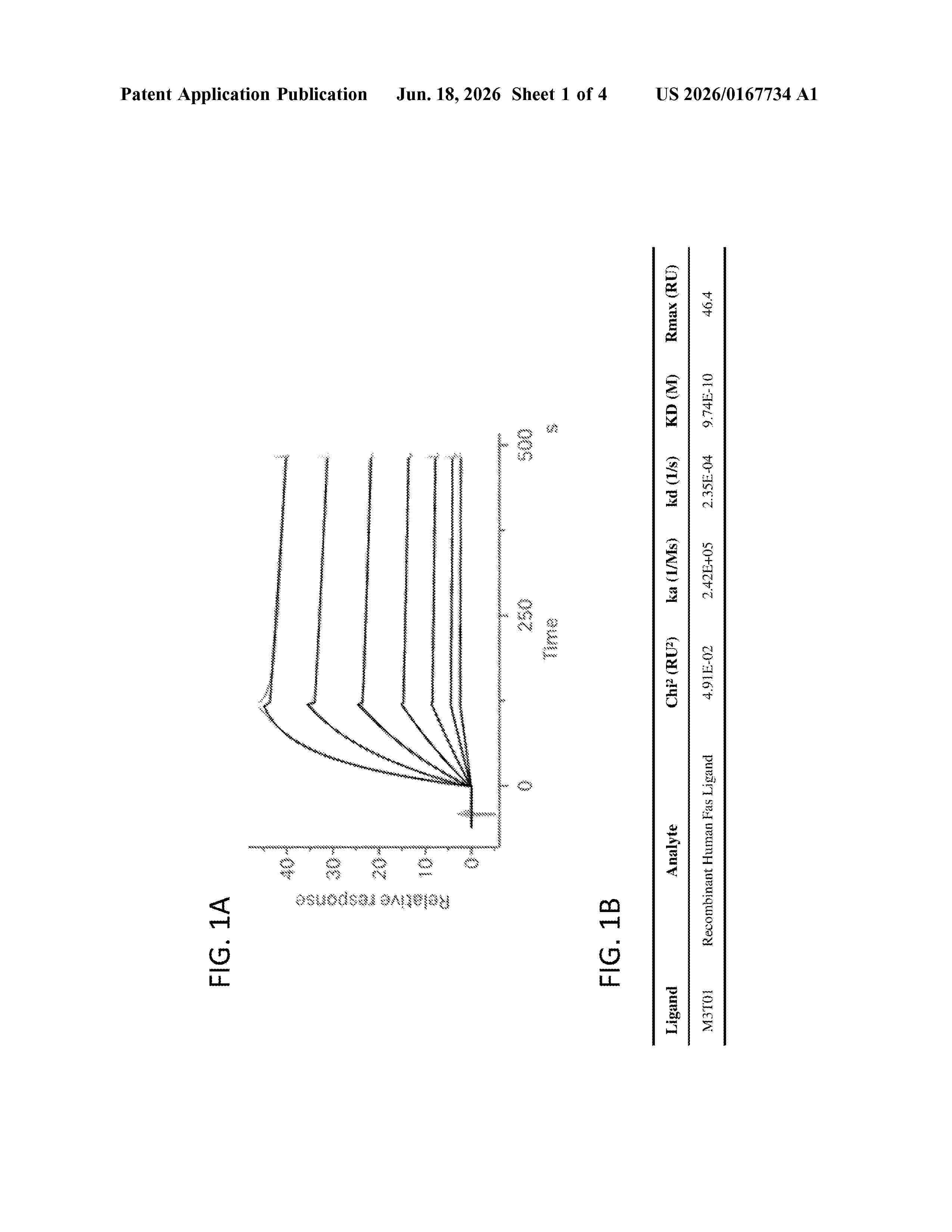 US_20260167734_A1
