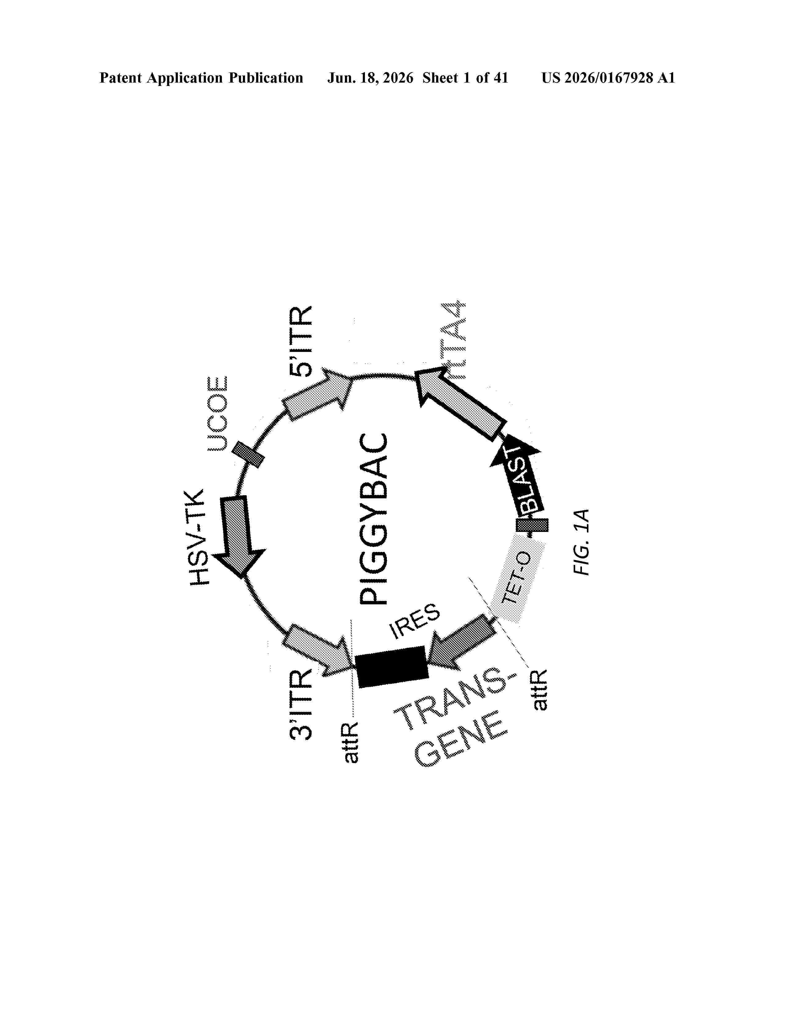 US_20260167928_A1
