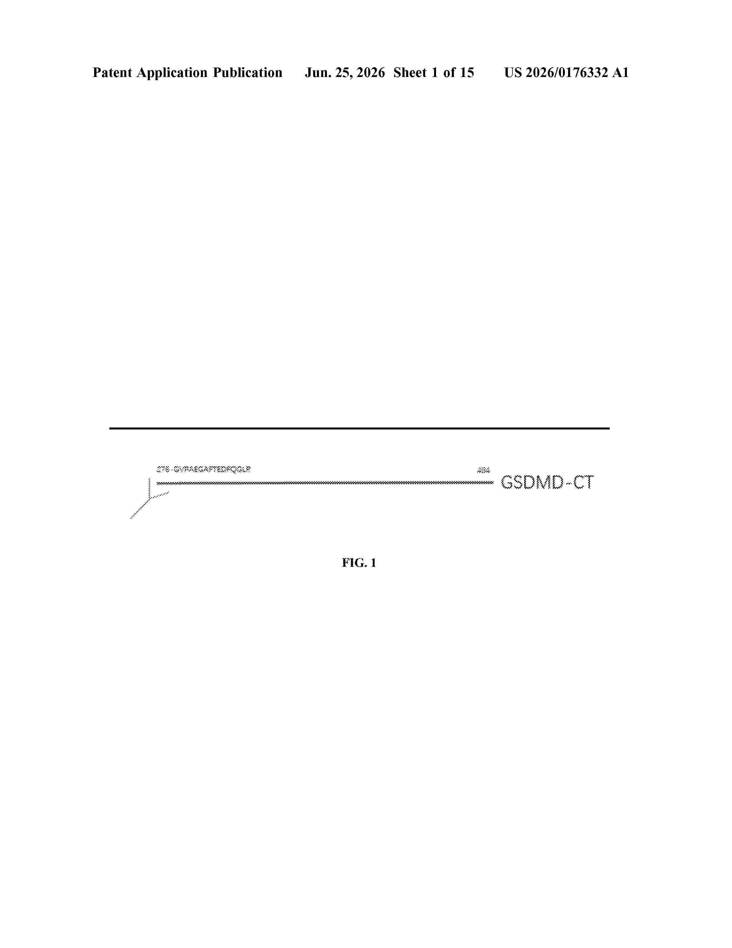 US_20260176332_A1