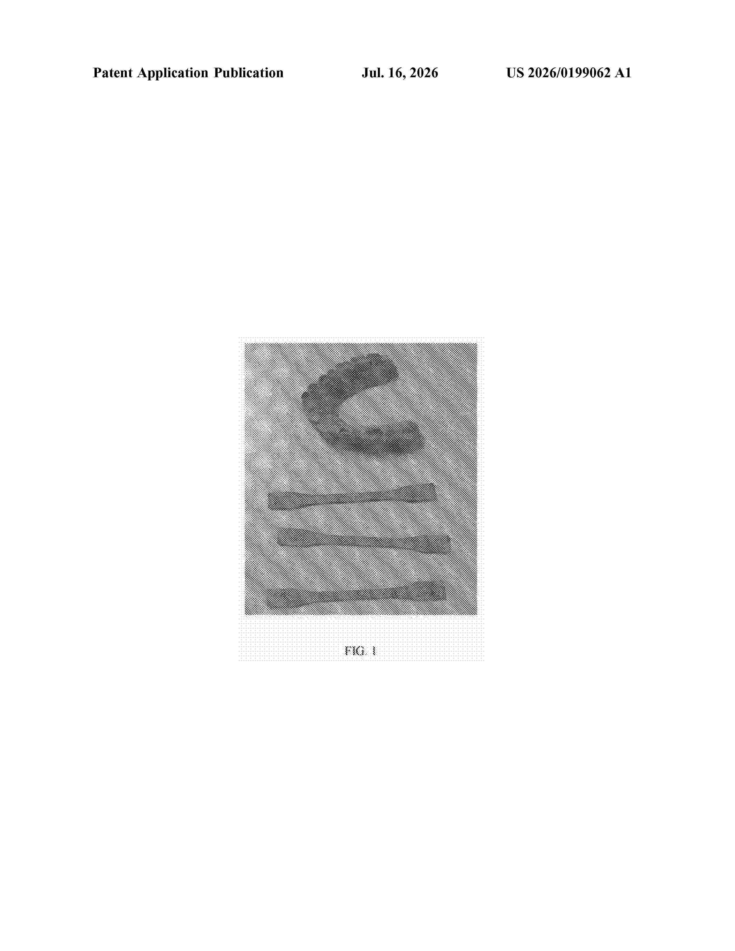 US_20260199062_A1