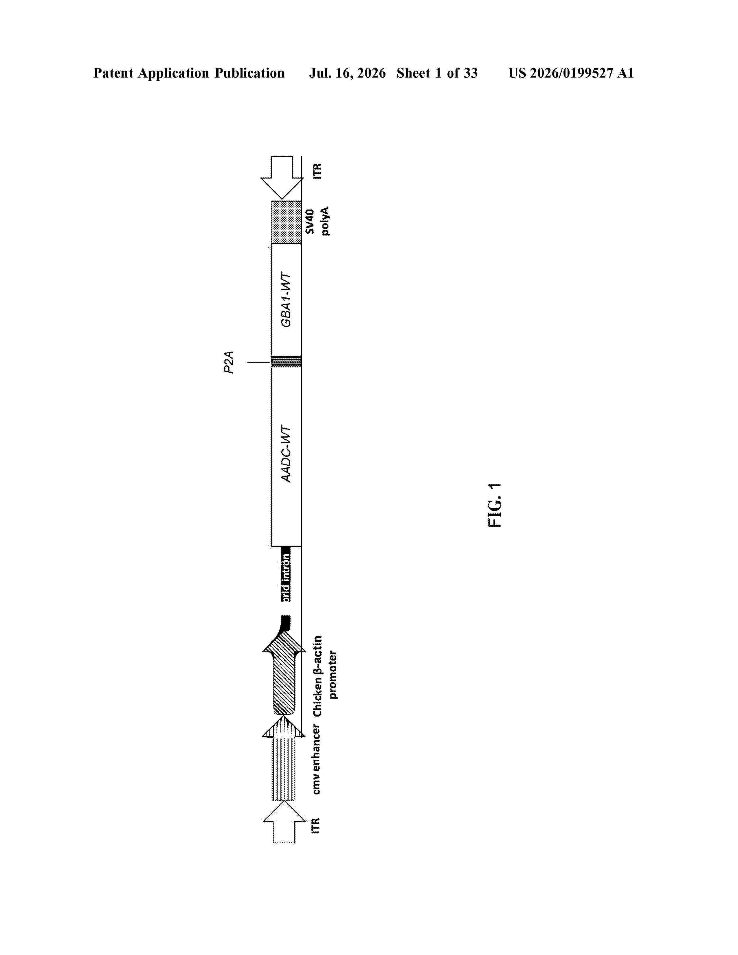 US_20260199527_A1