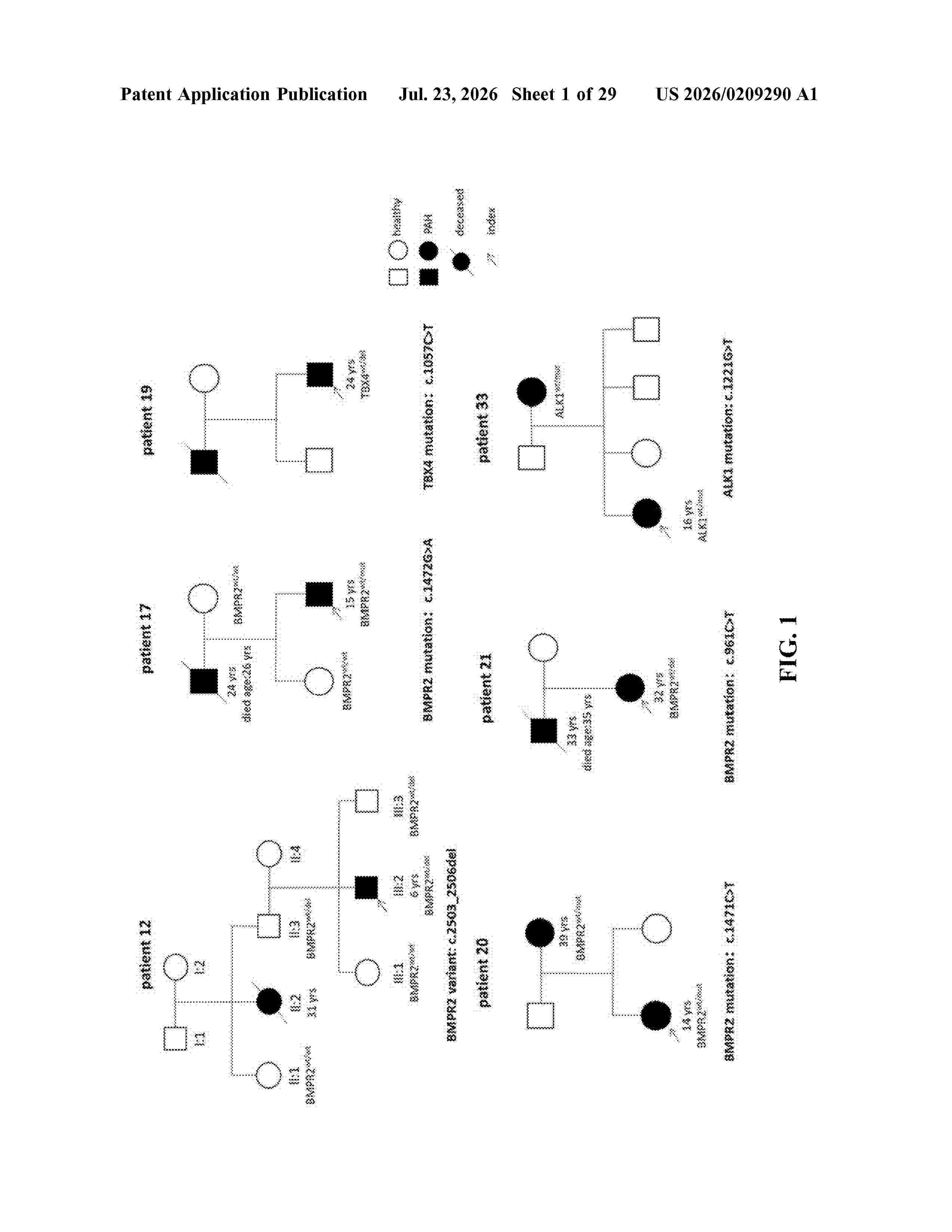 US_20260209290_A1