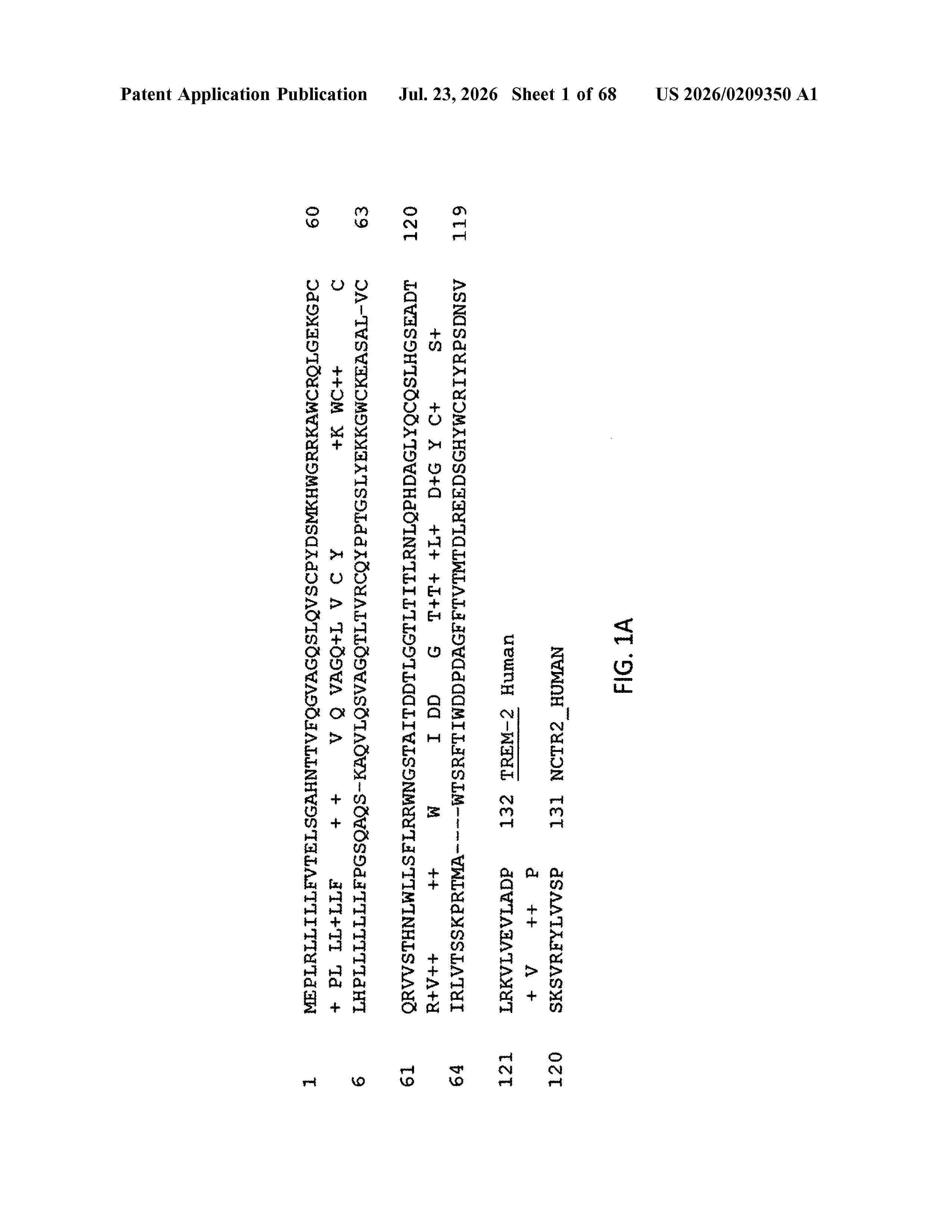 US_20260209350_A1