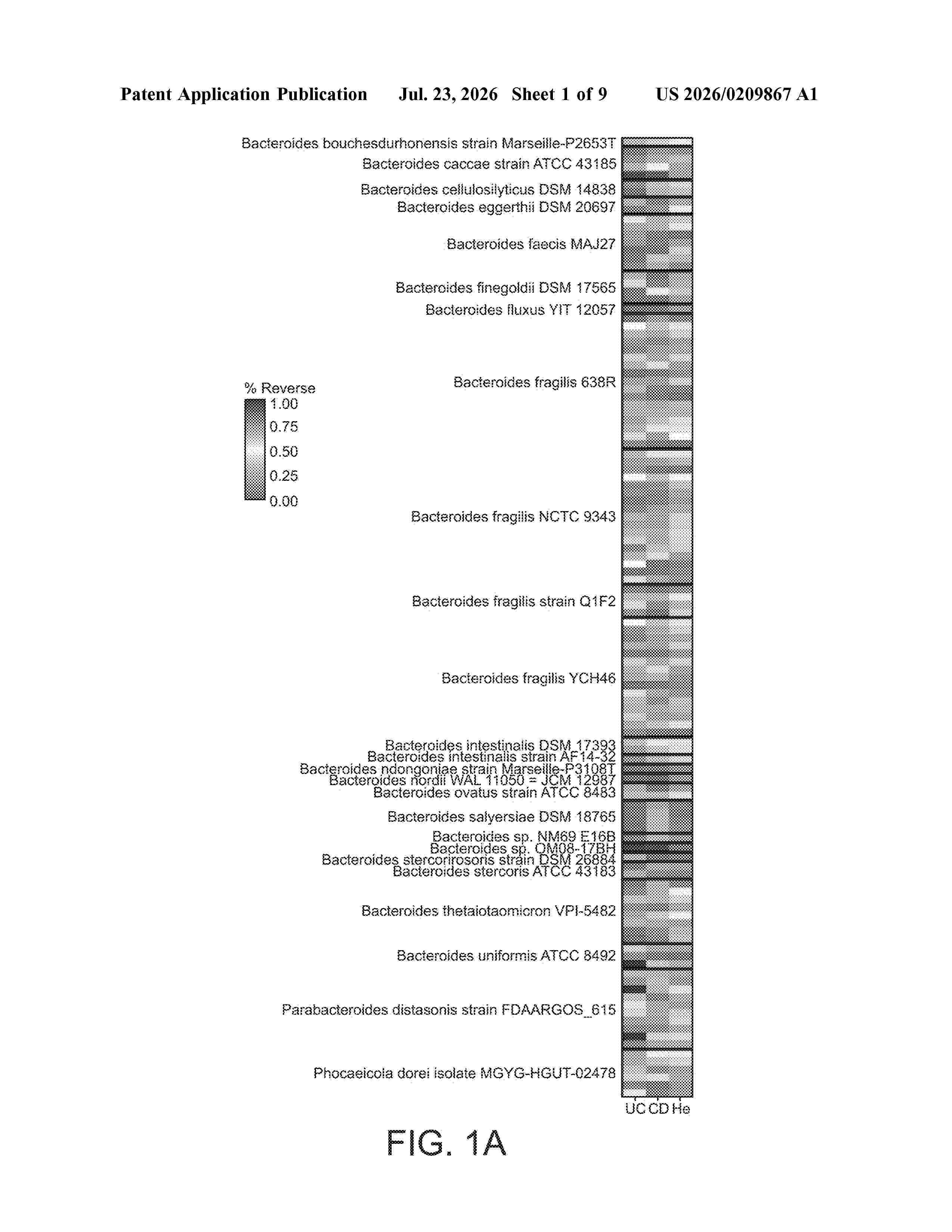 US_20260209867_A1