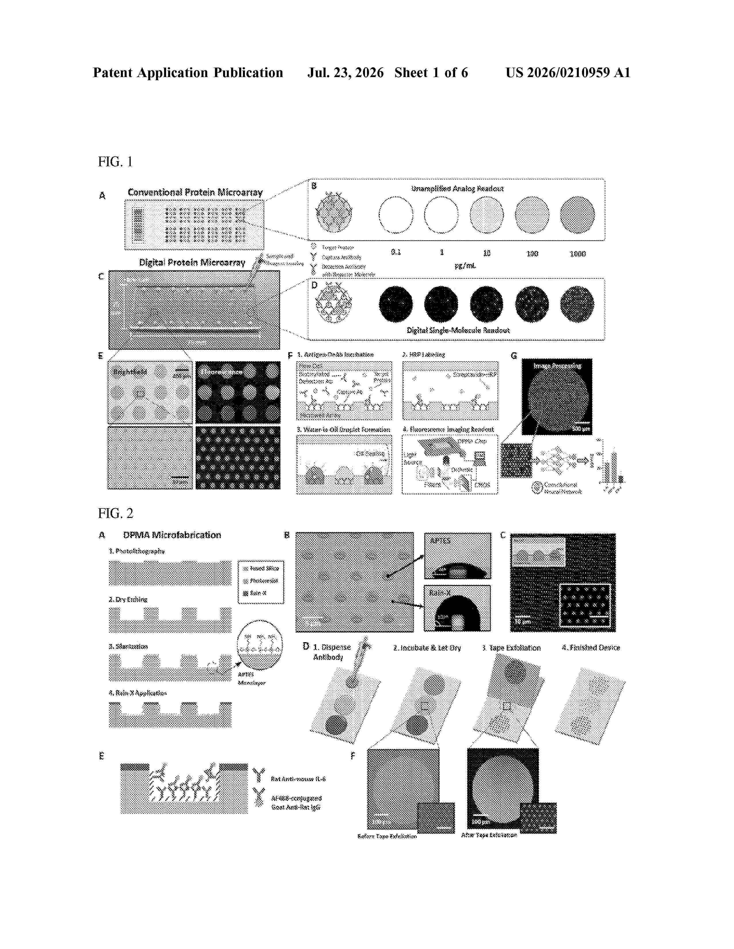 US_20260210959_A1