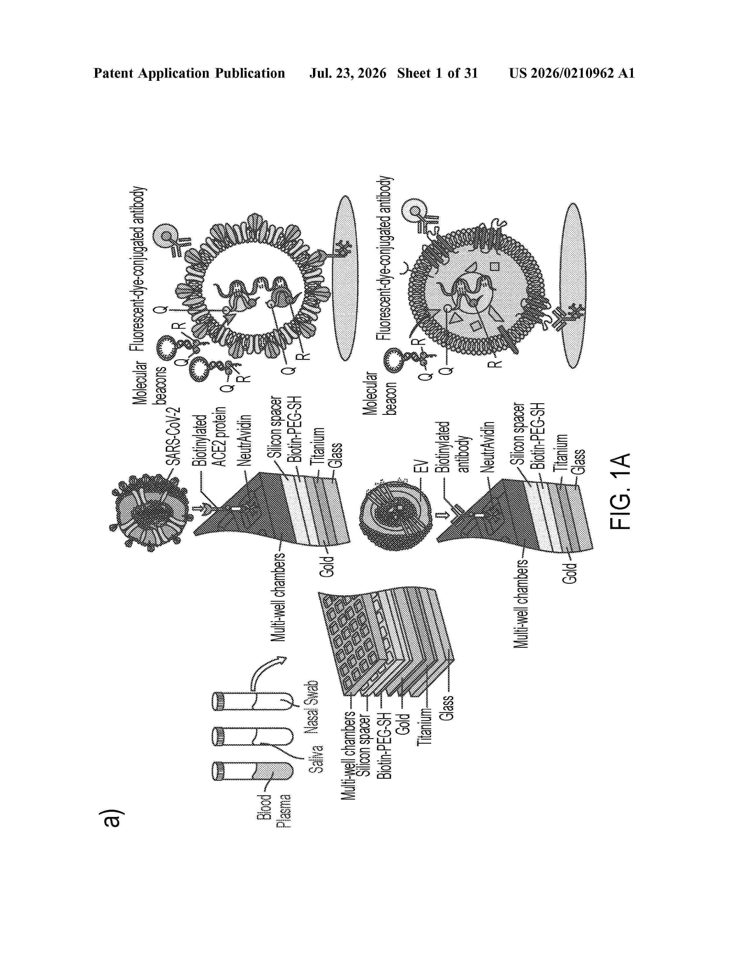 US_20260210962_A1