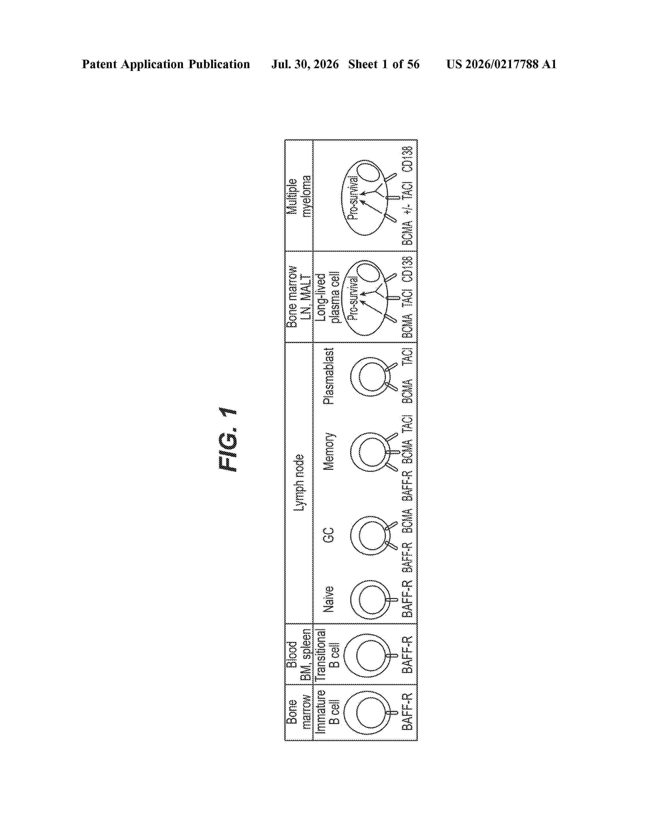 US_20260217788_A1