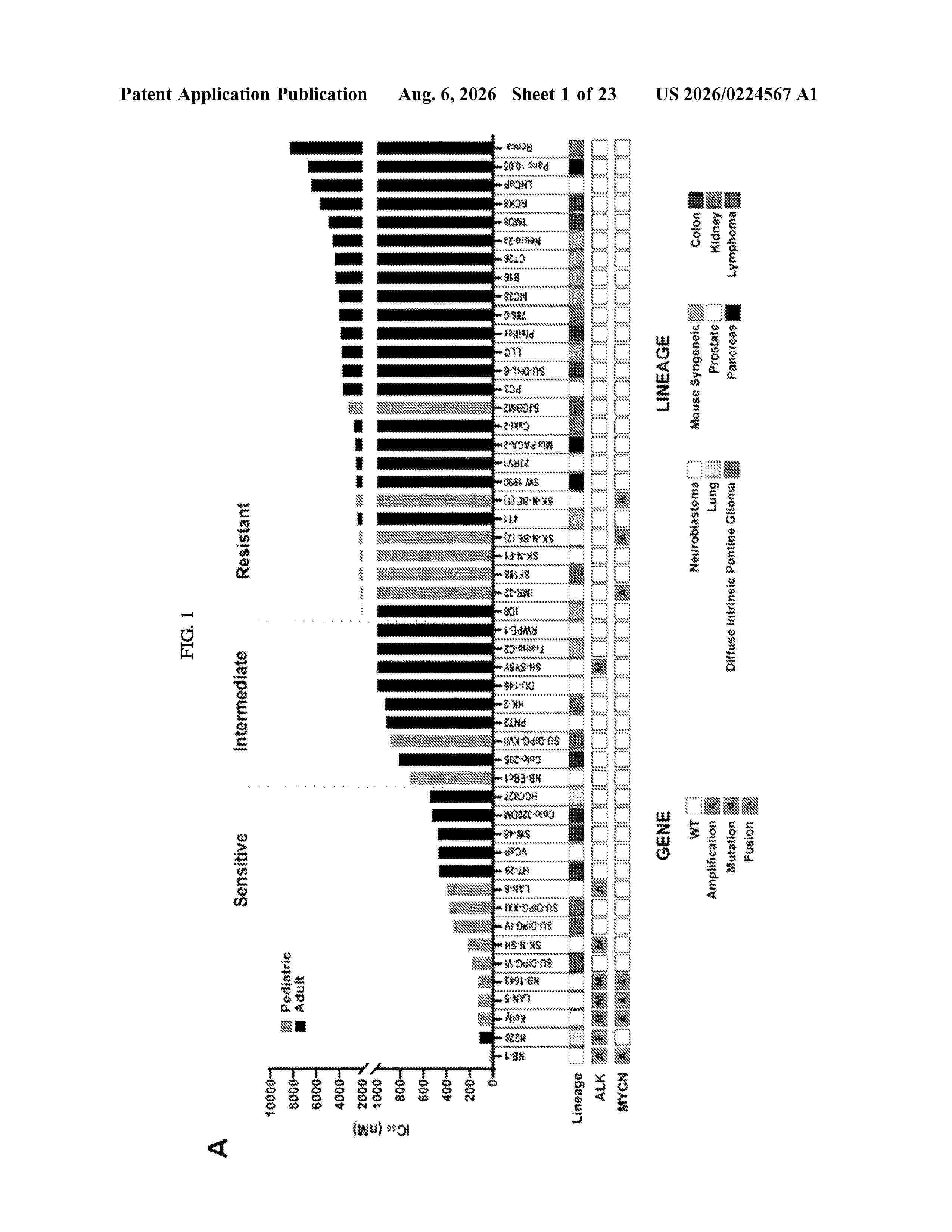 US_20260224567_A1