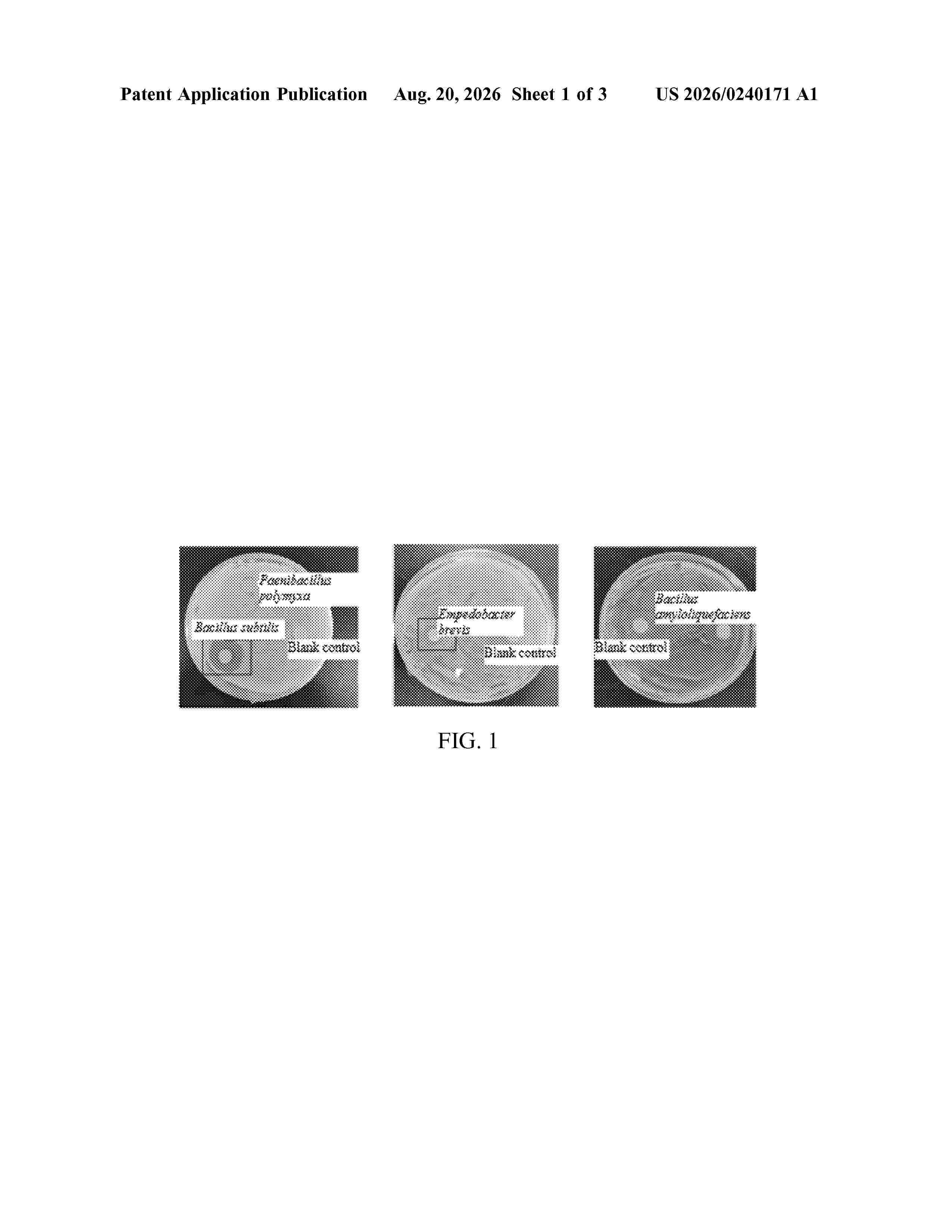 US_20260240171_A1