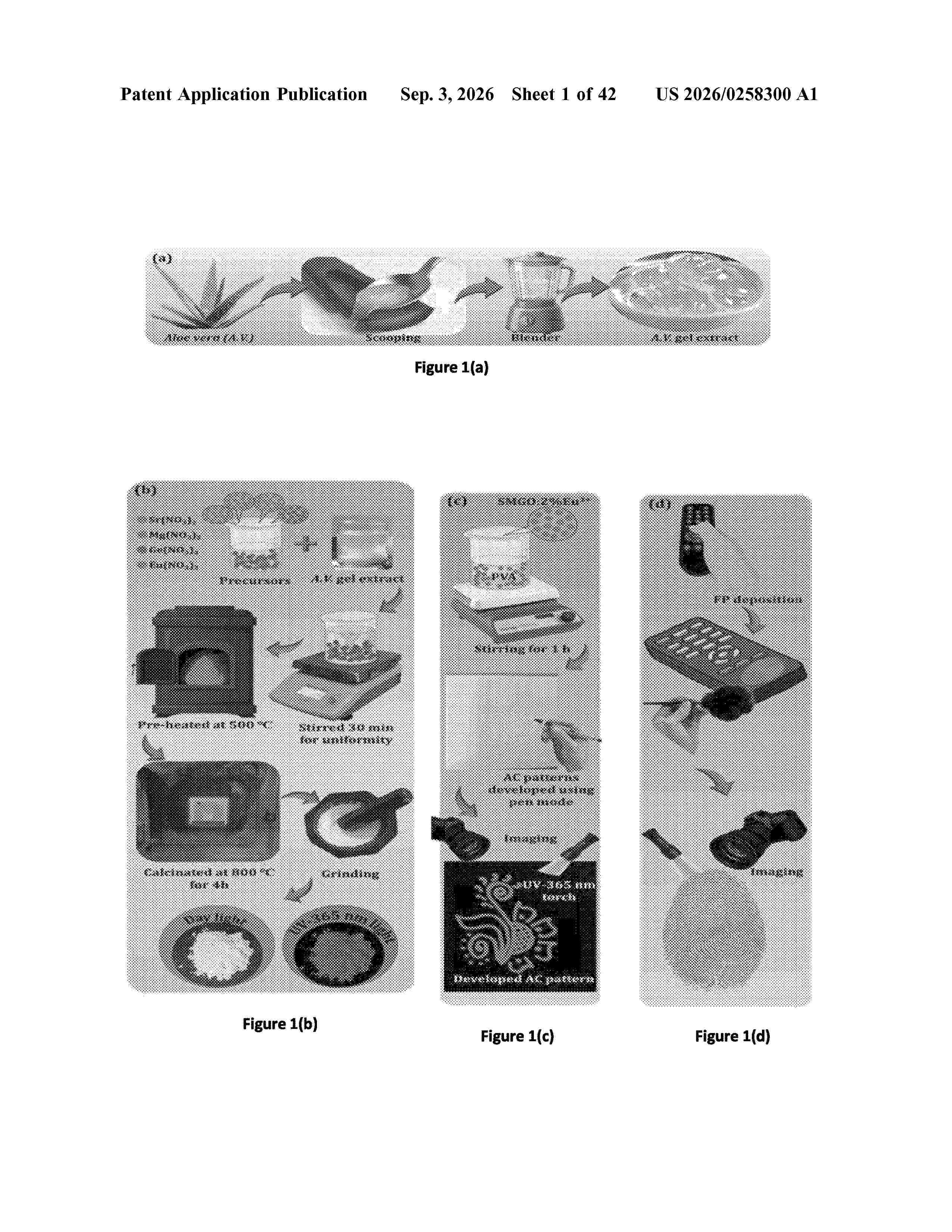 US_20260258300_A1