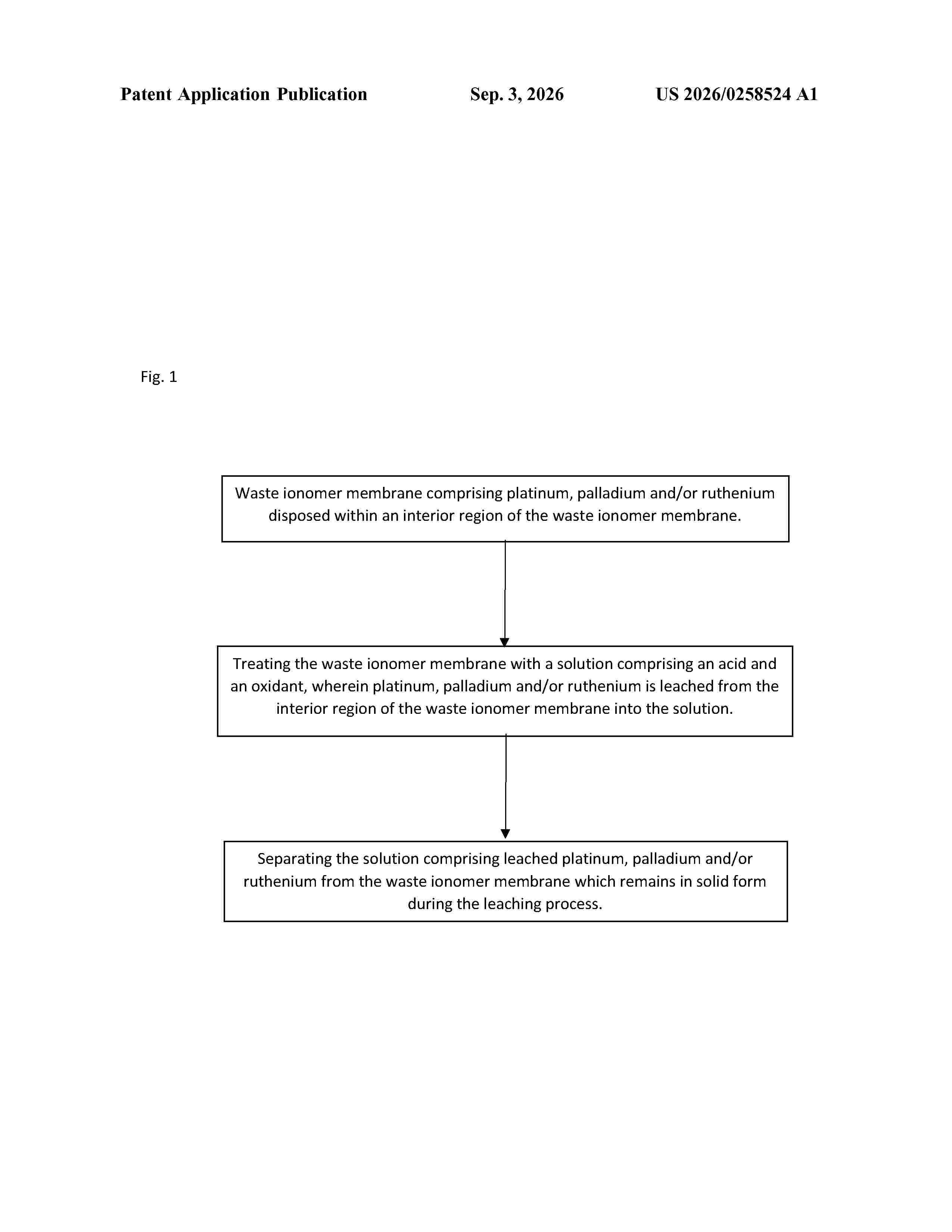 US_20260258524_A1