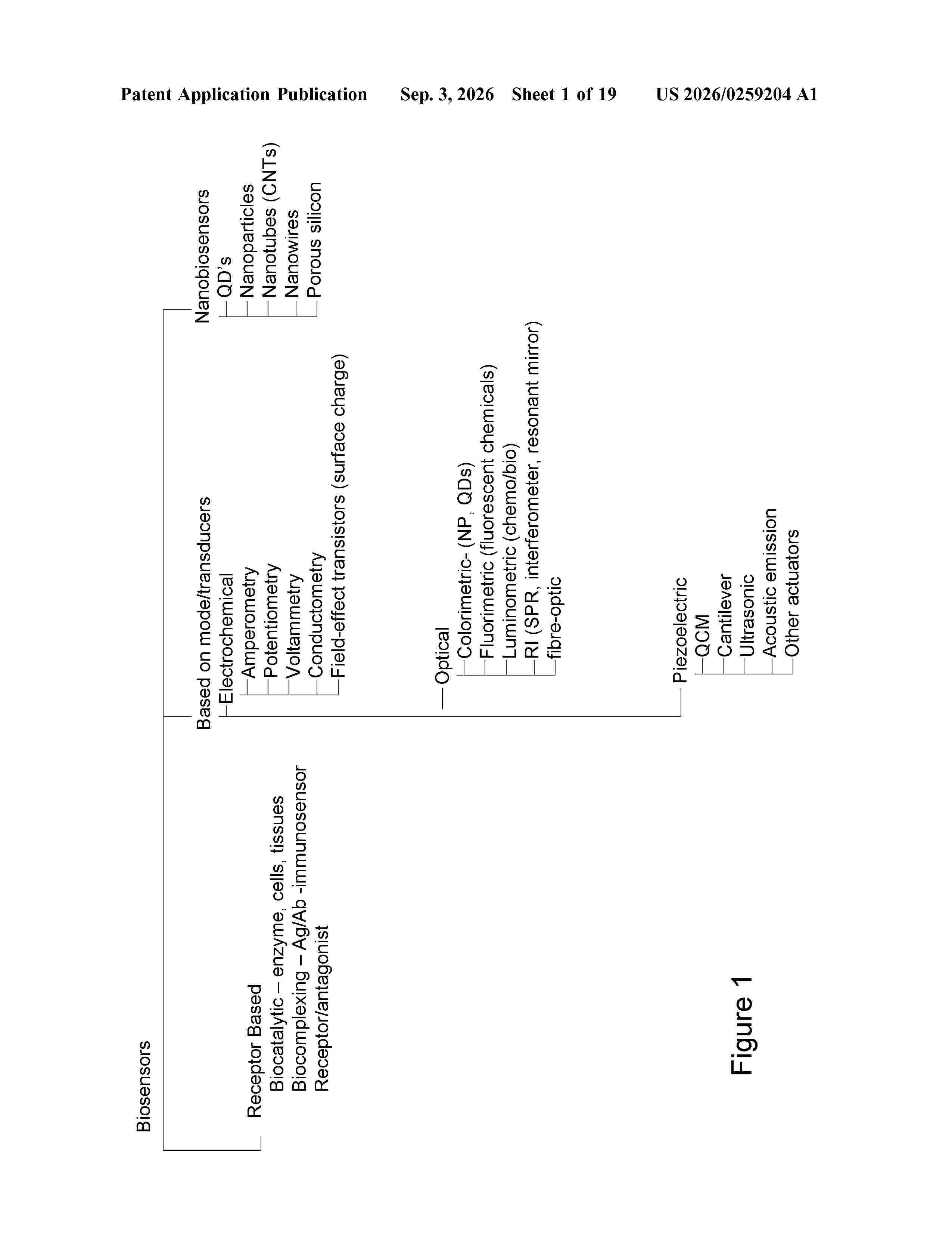 US_20260259204_A1