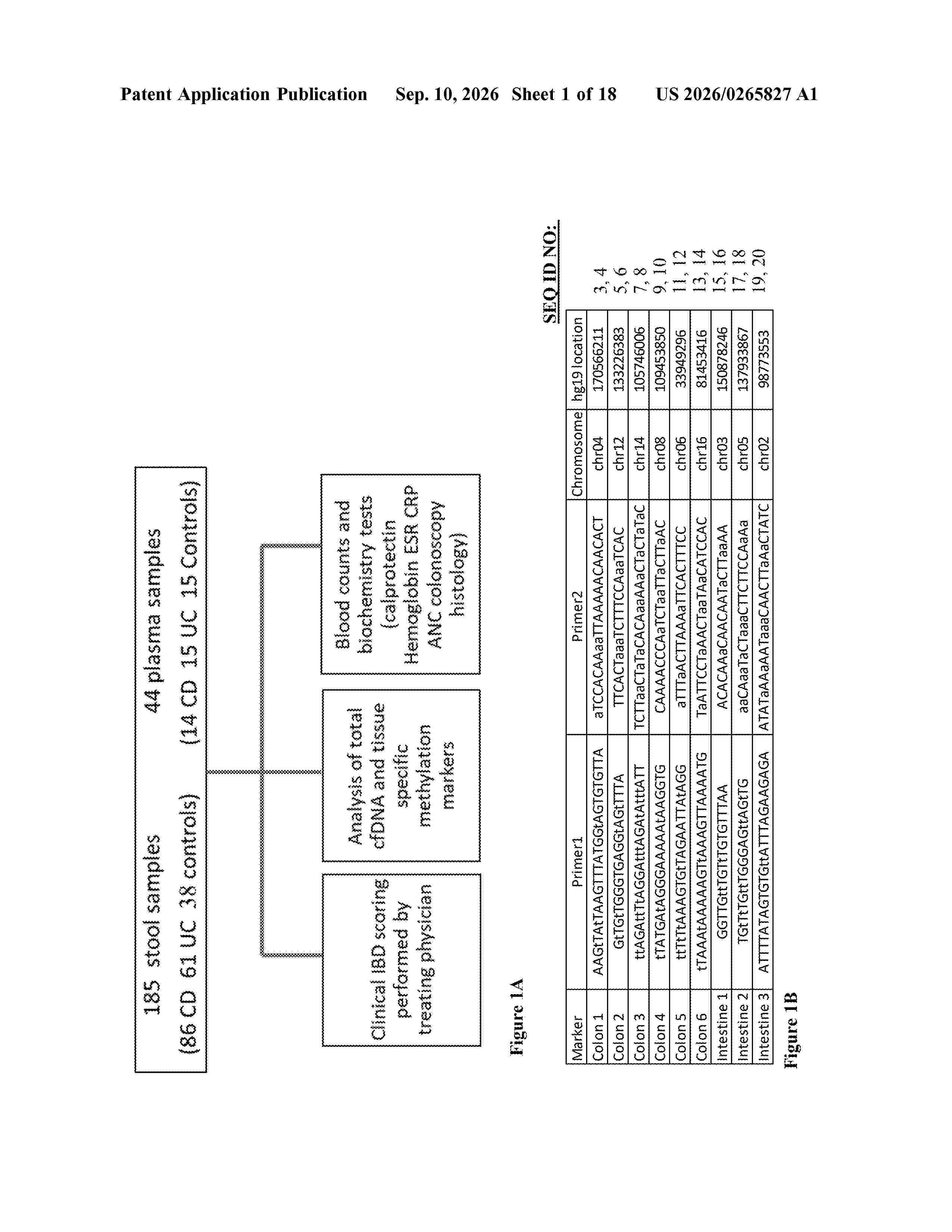 US_20260265827_A1