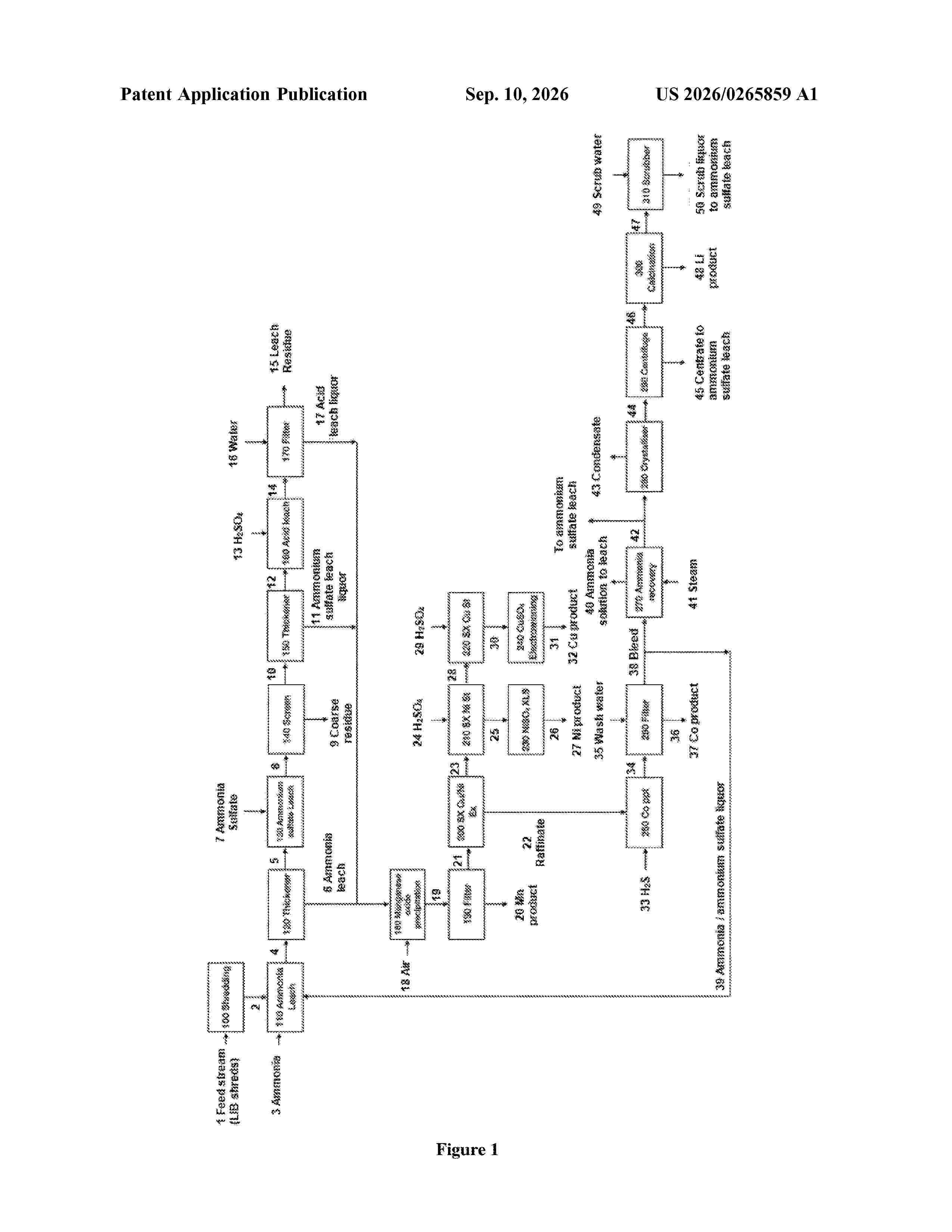 US_20260265859_A1
