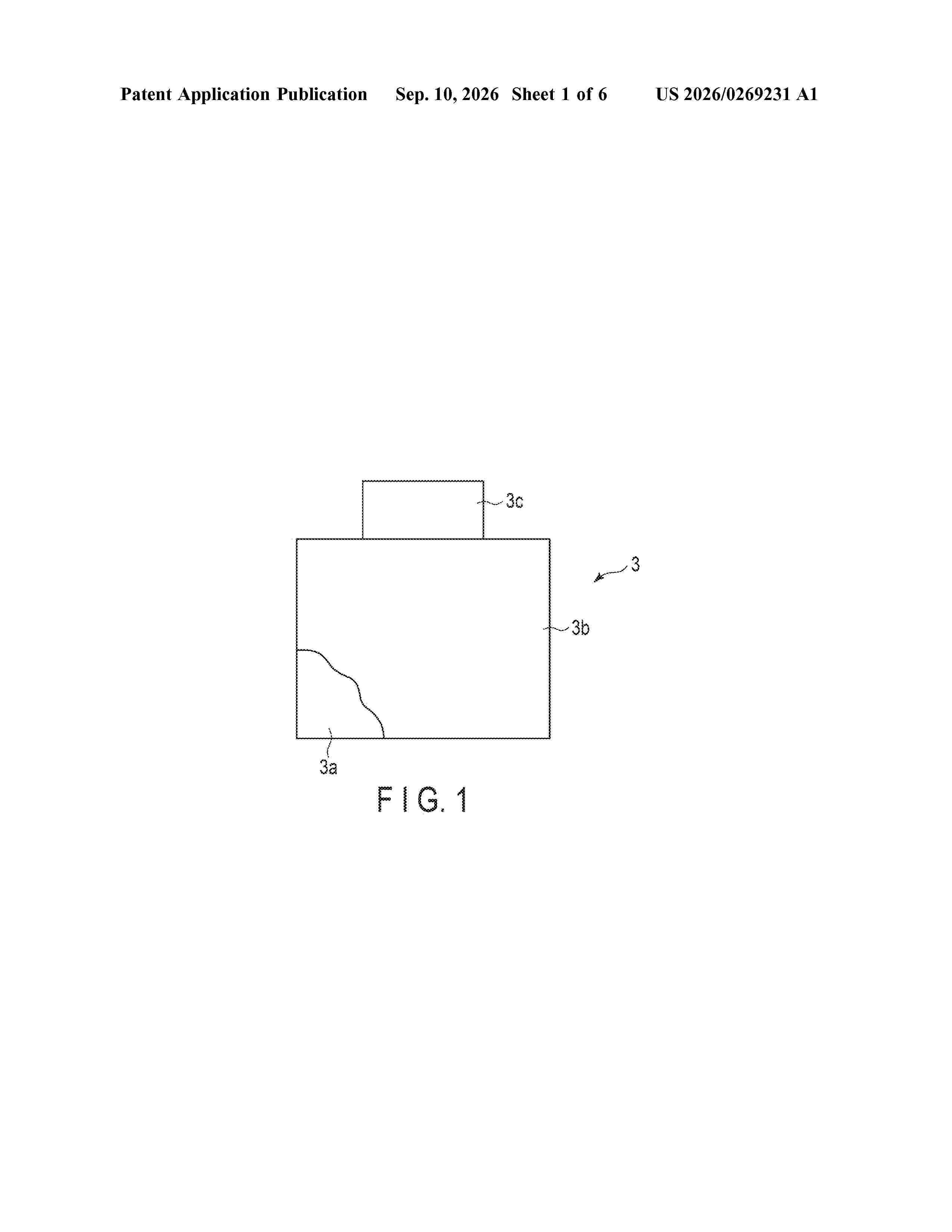 US_20260269231_A1