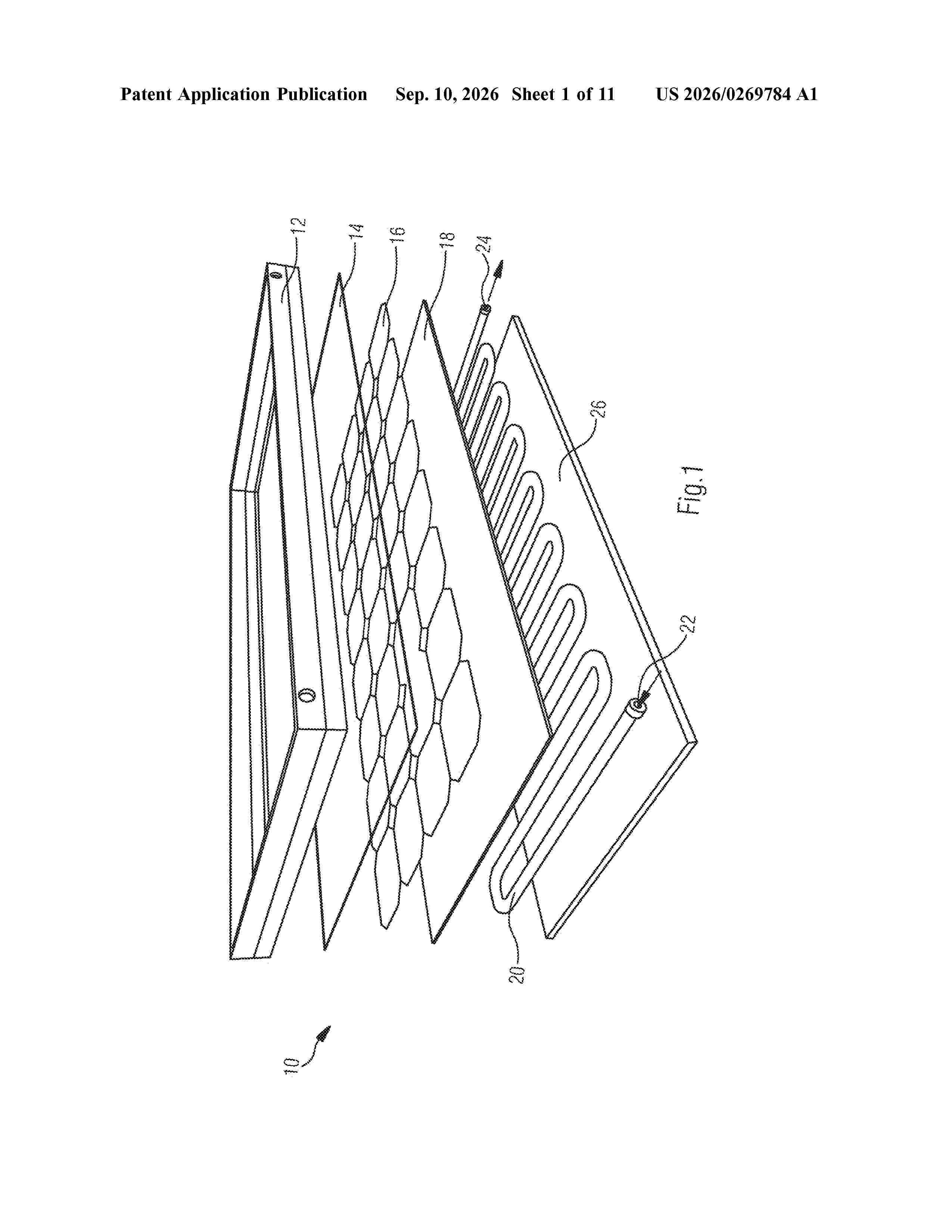 US_20260269784_A1