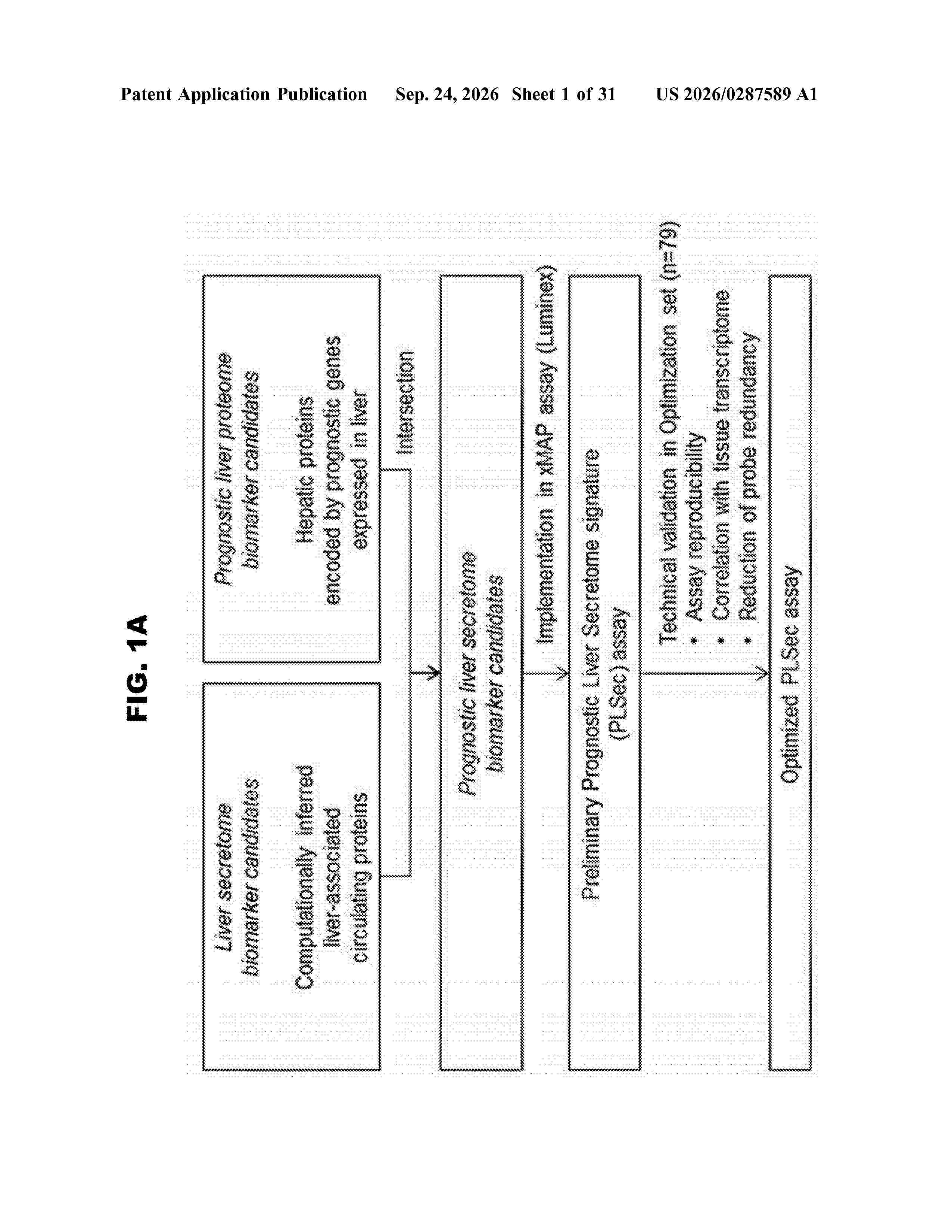 US_20260287589_A1