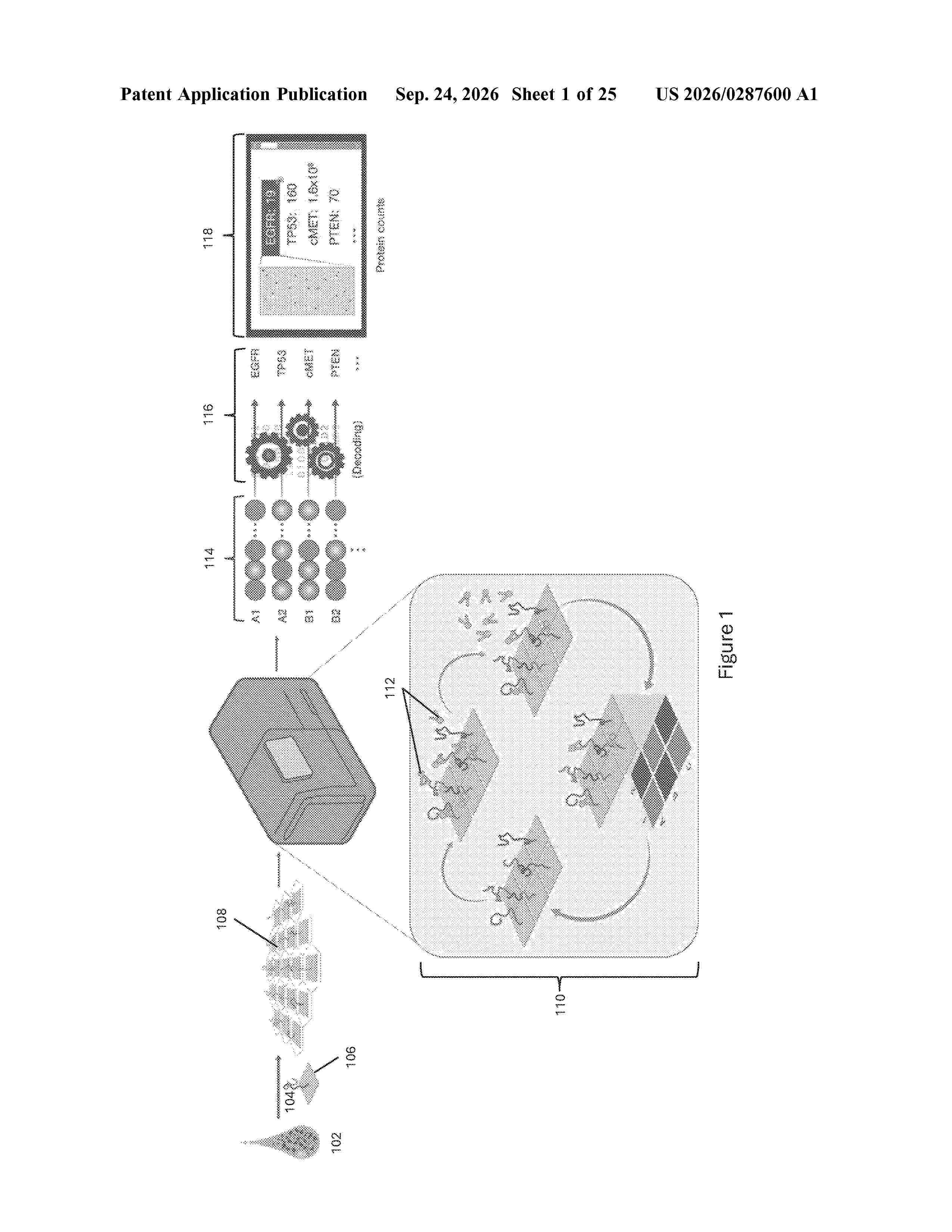 US_20260287600_A1