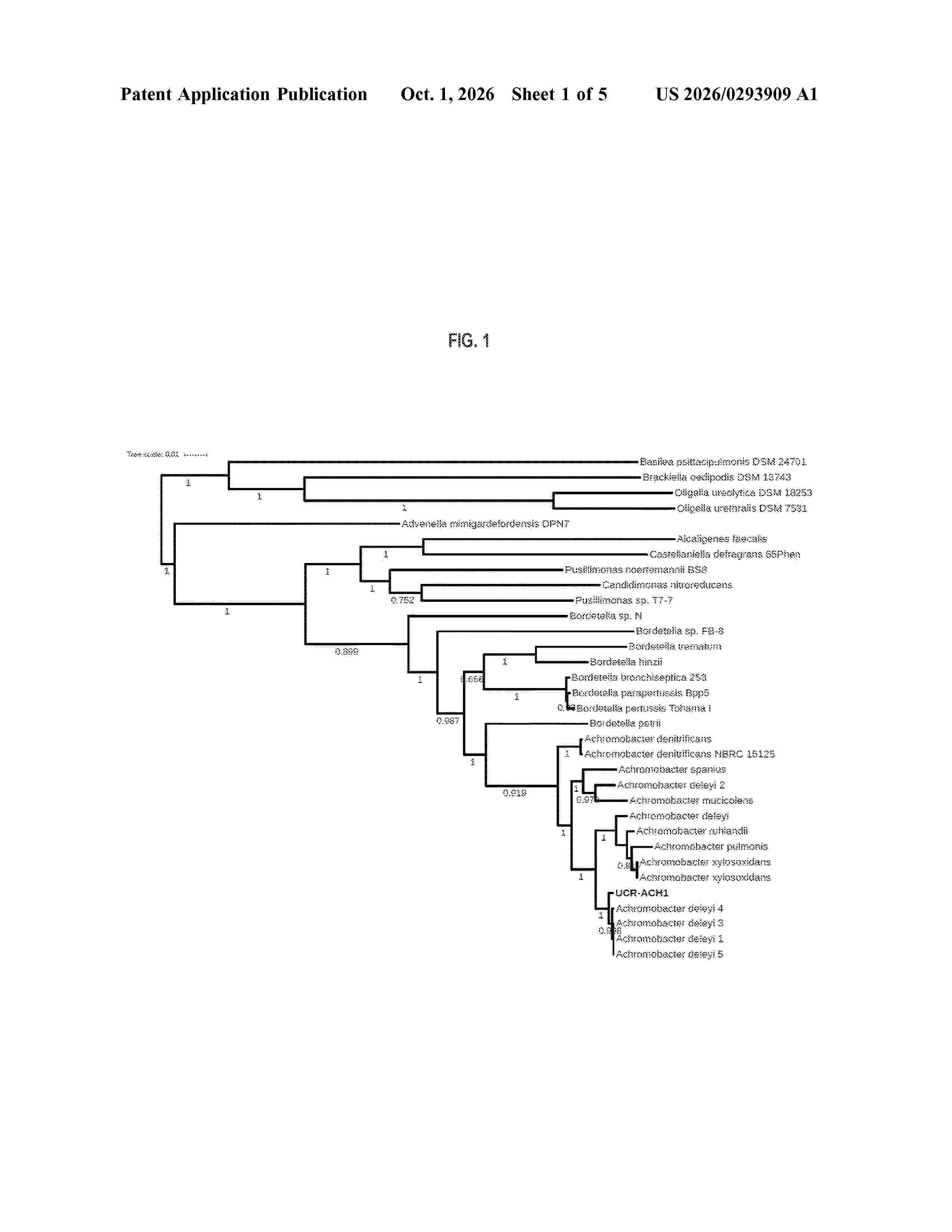 US_20260293909_A1