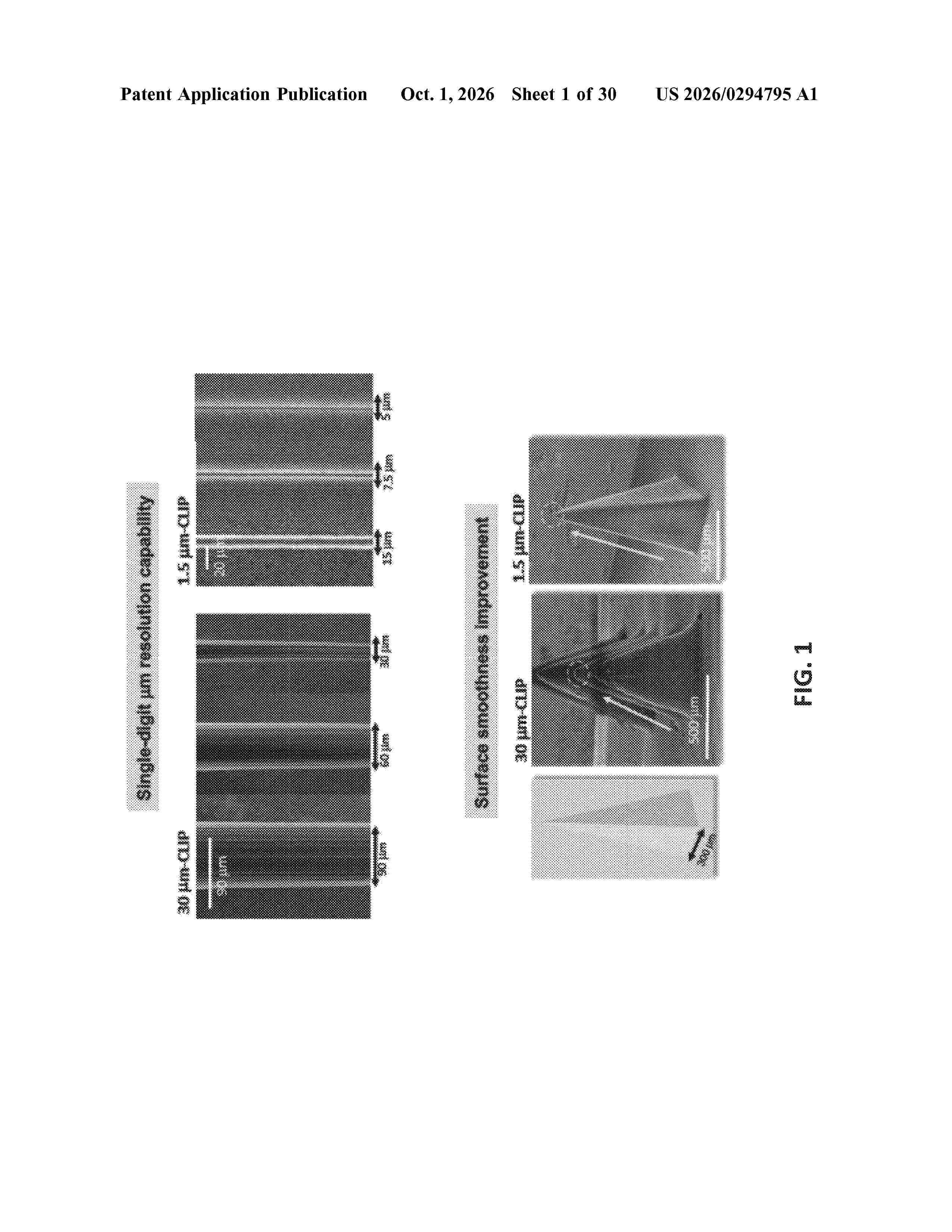 US_20260294795_A1