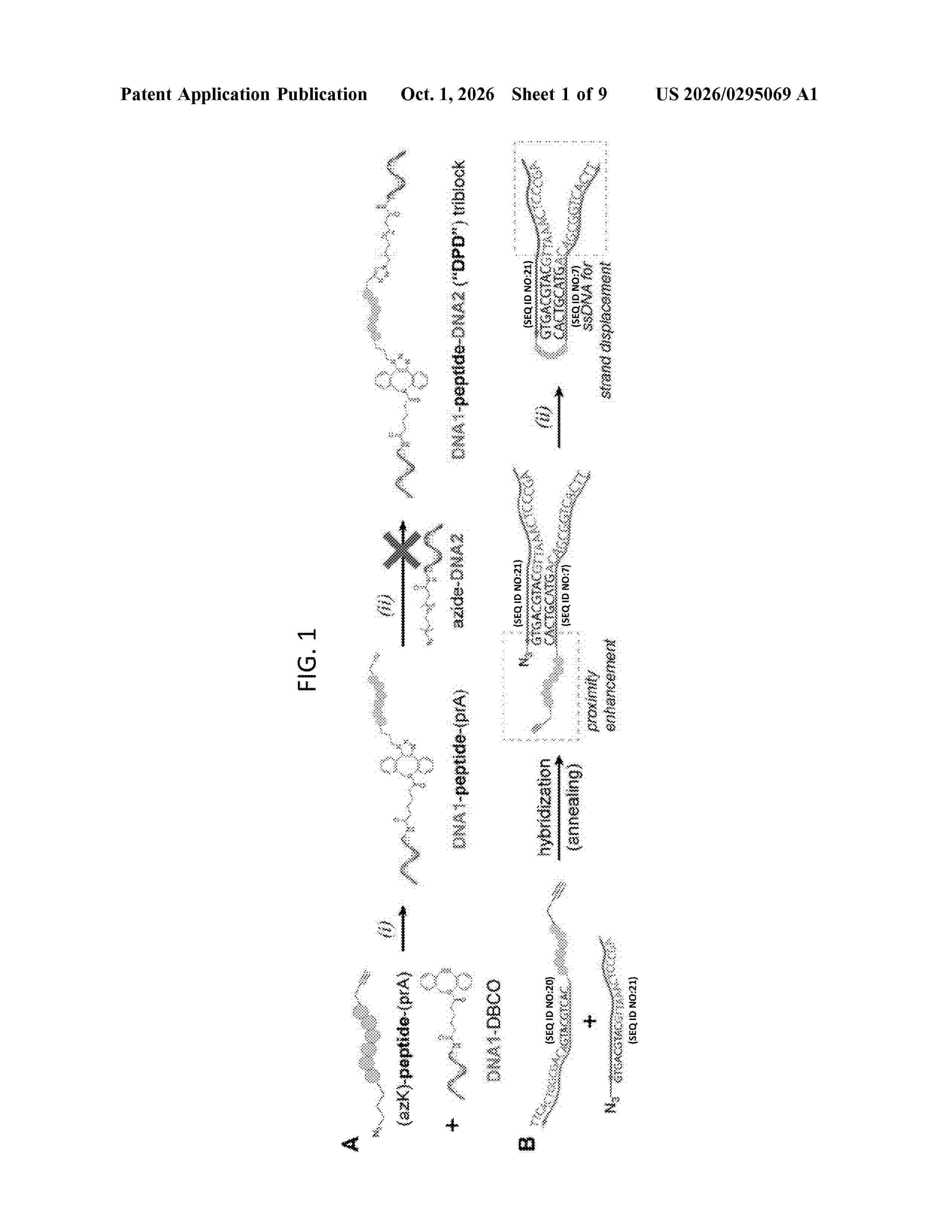 US_20260295069_A1